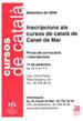 Cartell del curs de català 2009