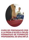 imatge tríptic Curs preparació a CFGM