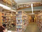 Interior Biblioteca