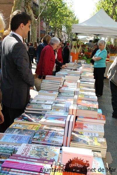 Sant jordi 2013