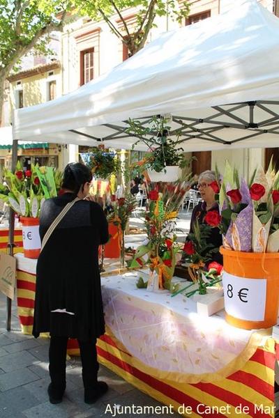 Sant jordi 2013