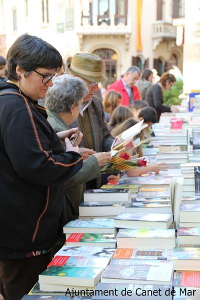 Sant jordi 2013