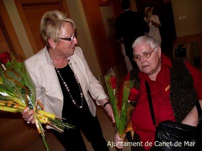 Sant jordi 2013