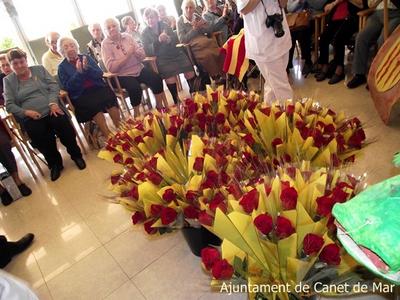 Sant jordi 2013