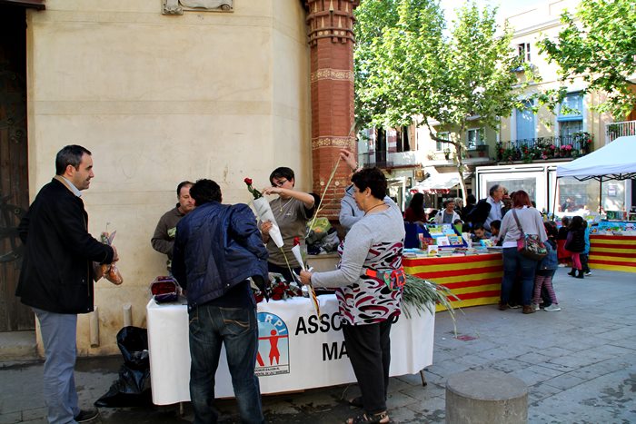 Sant Jordi 2014