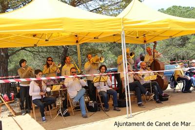Aplec de Pedracastell - 2014