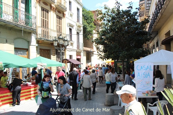 Diada de la Maduixa - 2015 - Foto 37846908