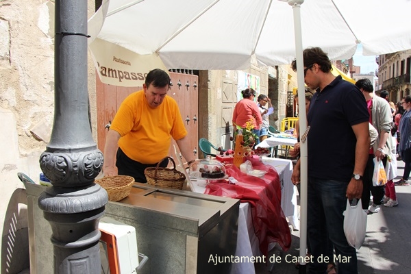 Diada de la Maduixa - 2015 - Foto 93819886