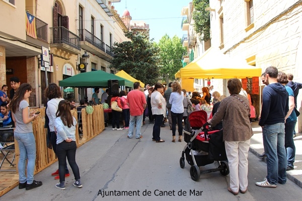Diada de la Maduixa - 2015 - Foto 30102947