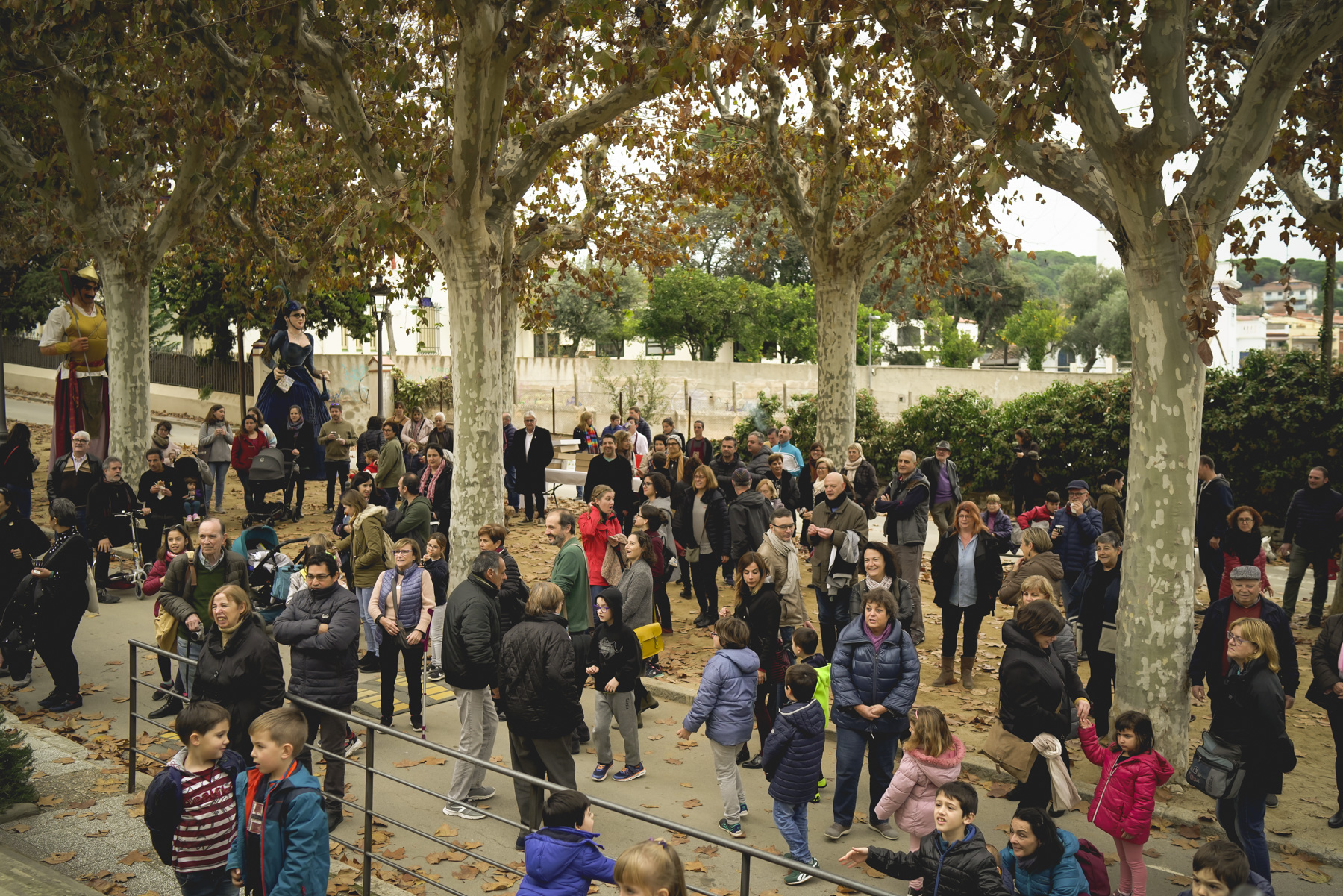 100 anys de la Biblioteca