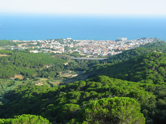 Panormica