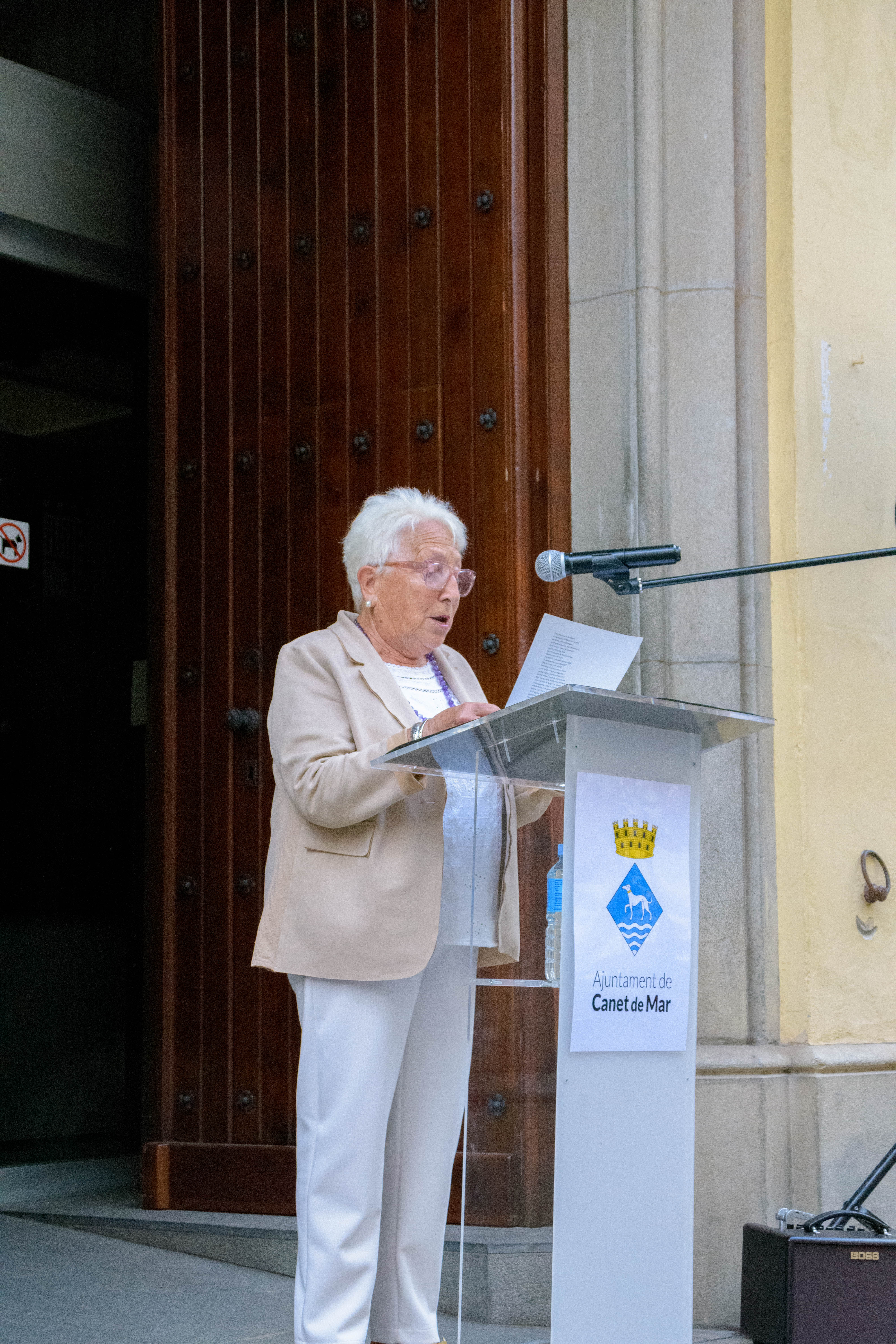 Diada 11 de setembre de 2025 - Foto 45738858