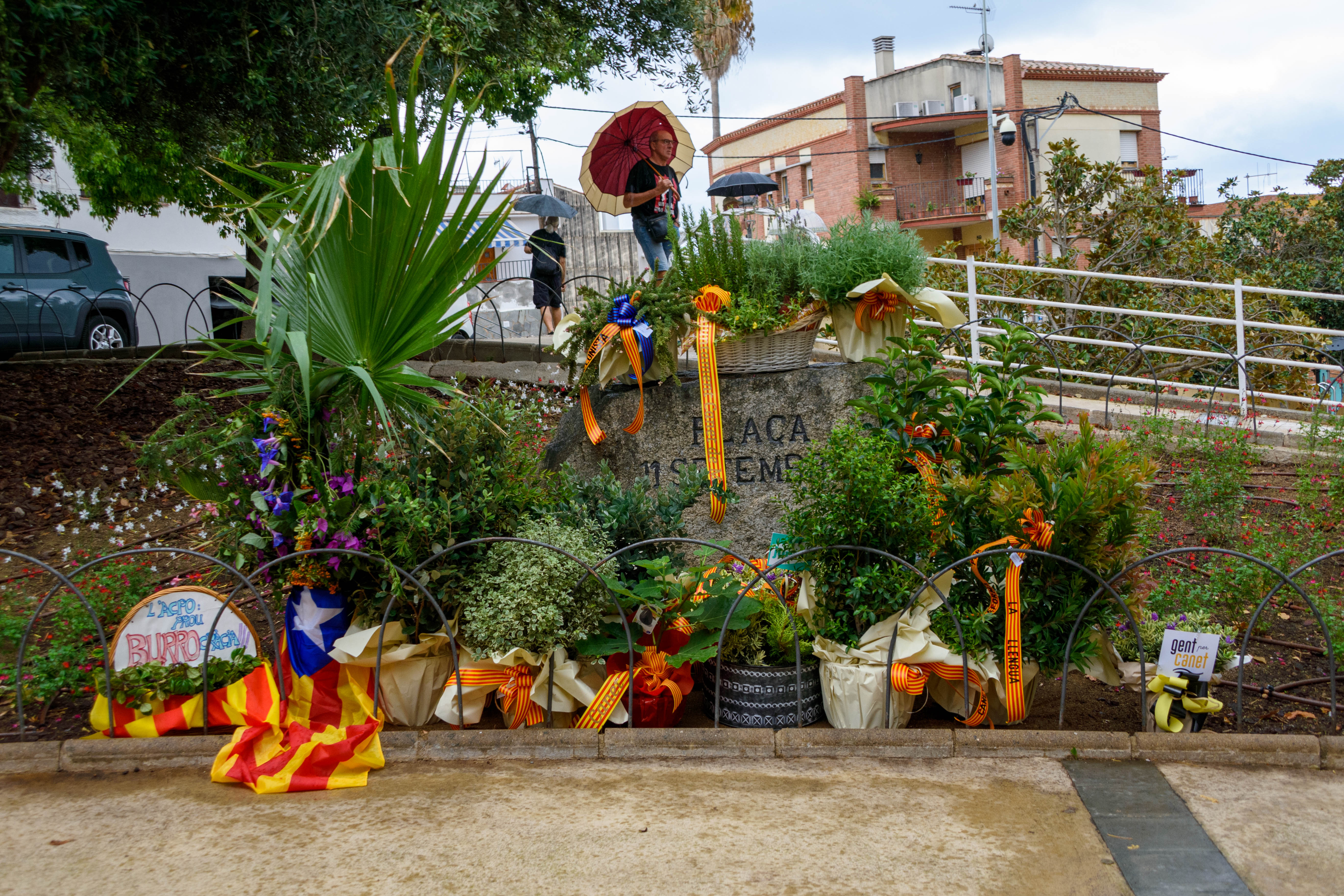 Diada 11 de setembre de 2025 - Foto 35709069