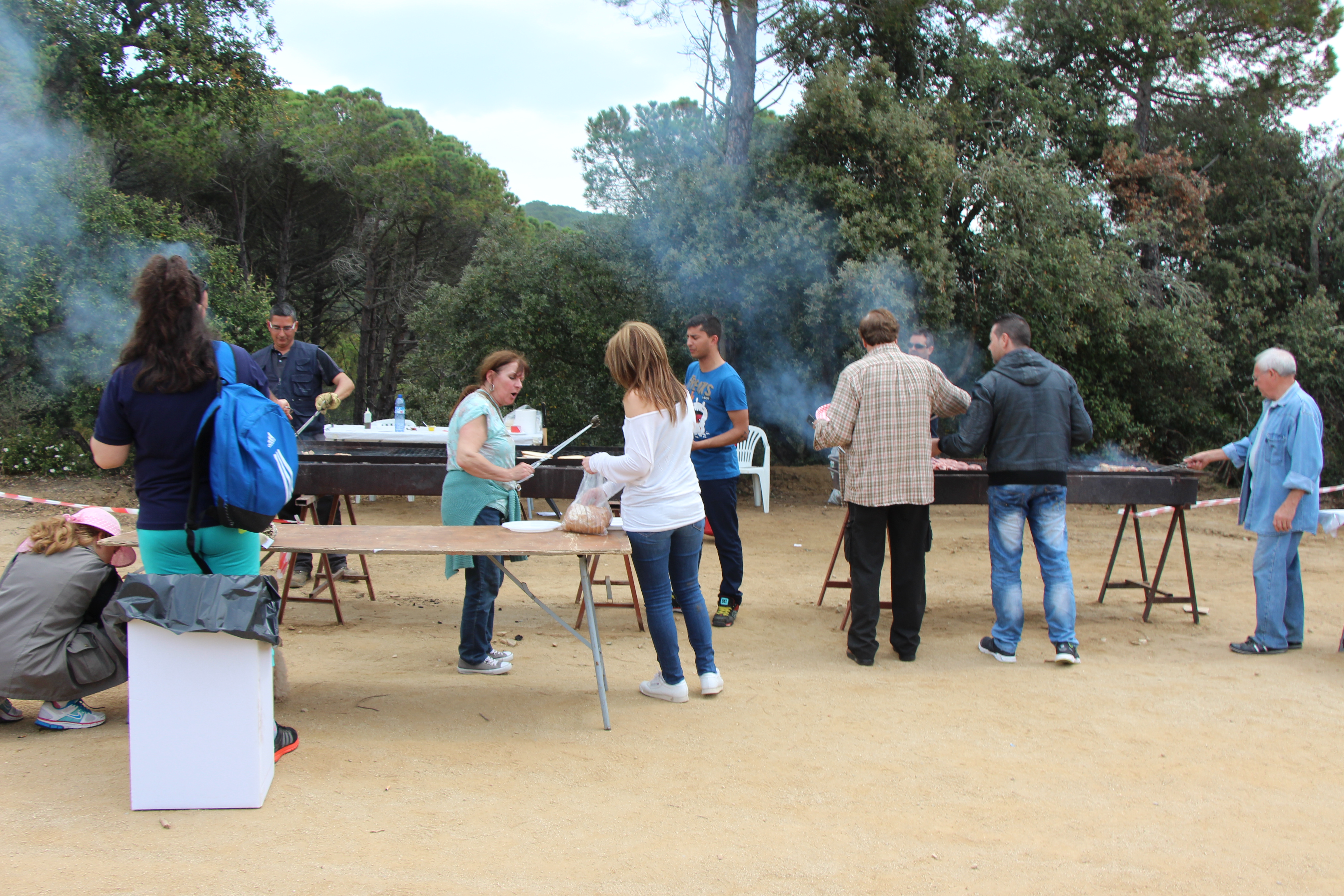 Aplec de Pedracastell - 2015 - Foto 29551040