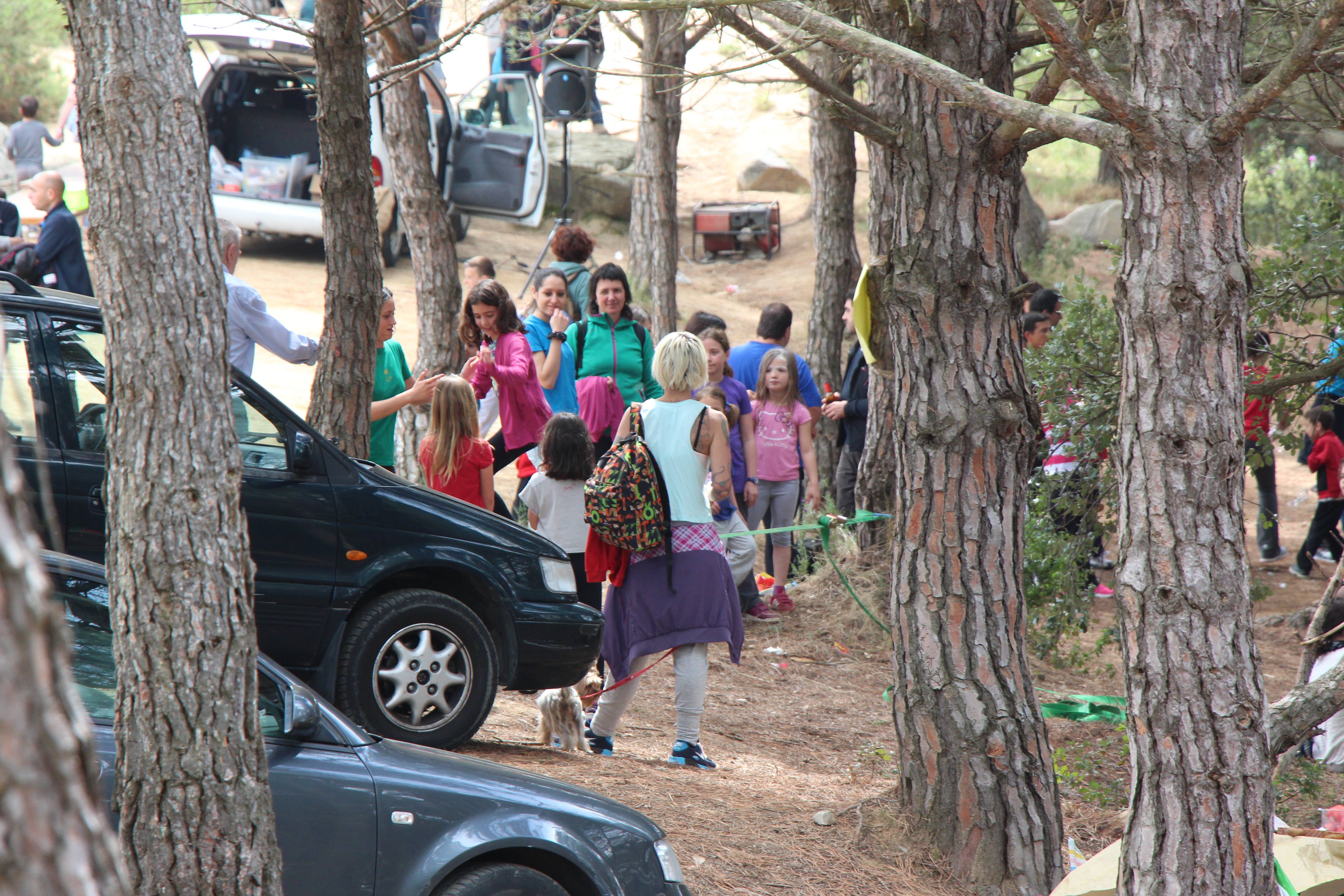 Aplec de Pedracastell - 2015 - Foto 12568112