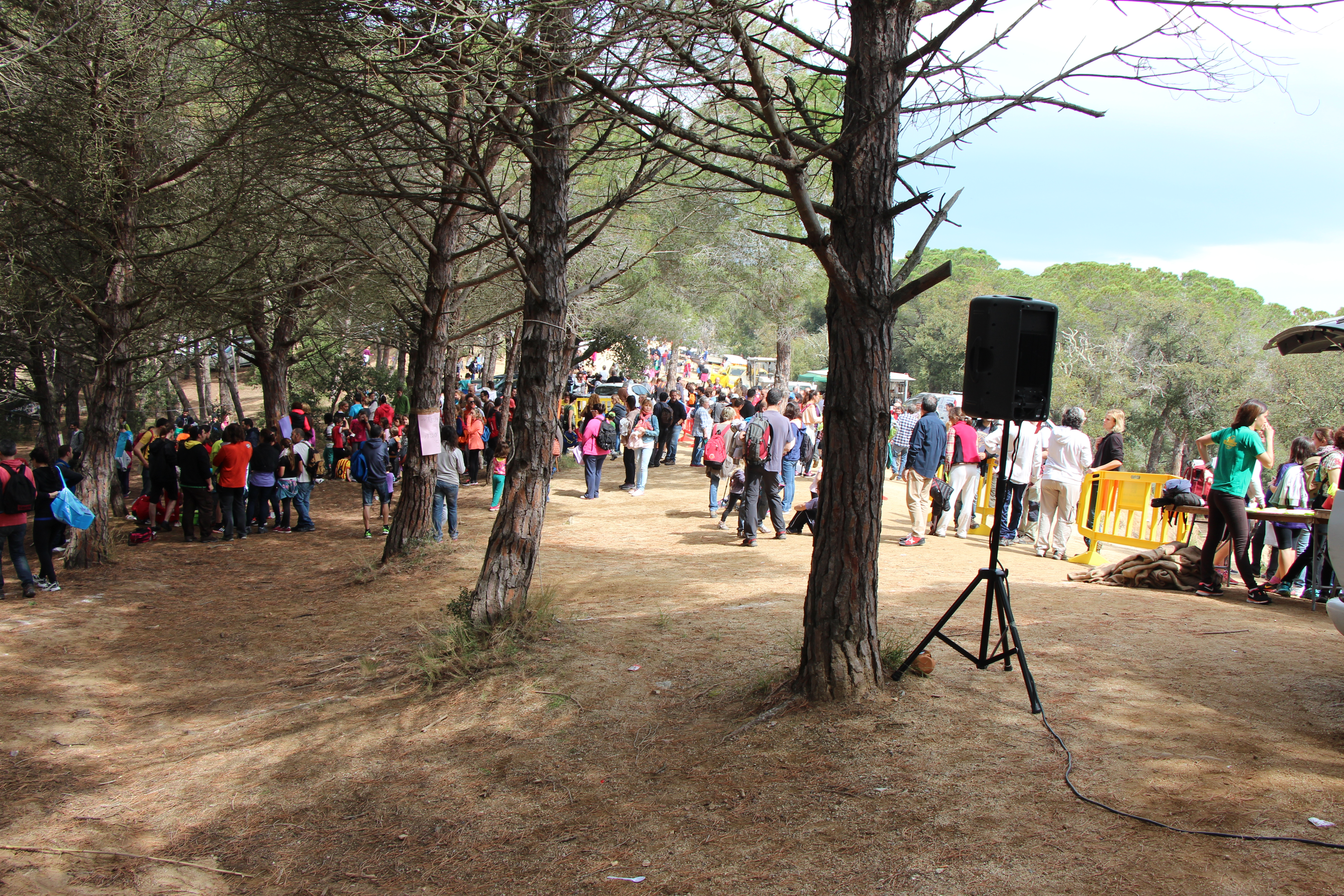 Aplec de Pedracastell - 2015 - Foto 88314162