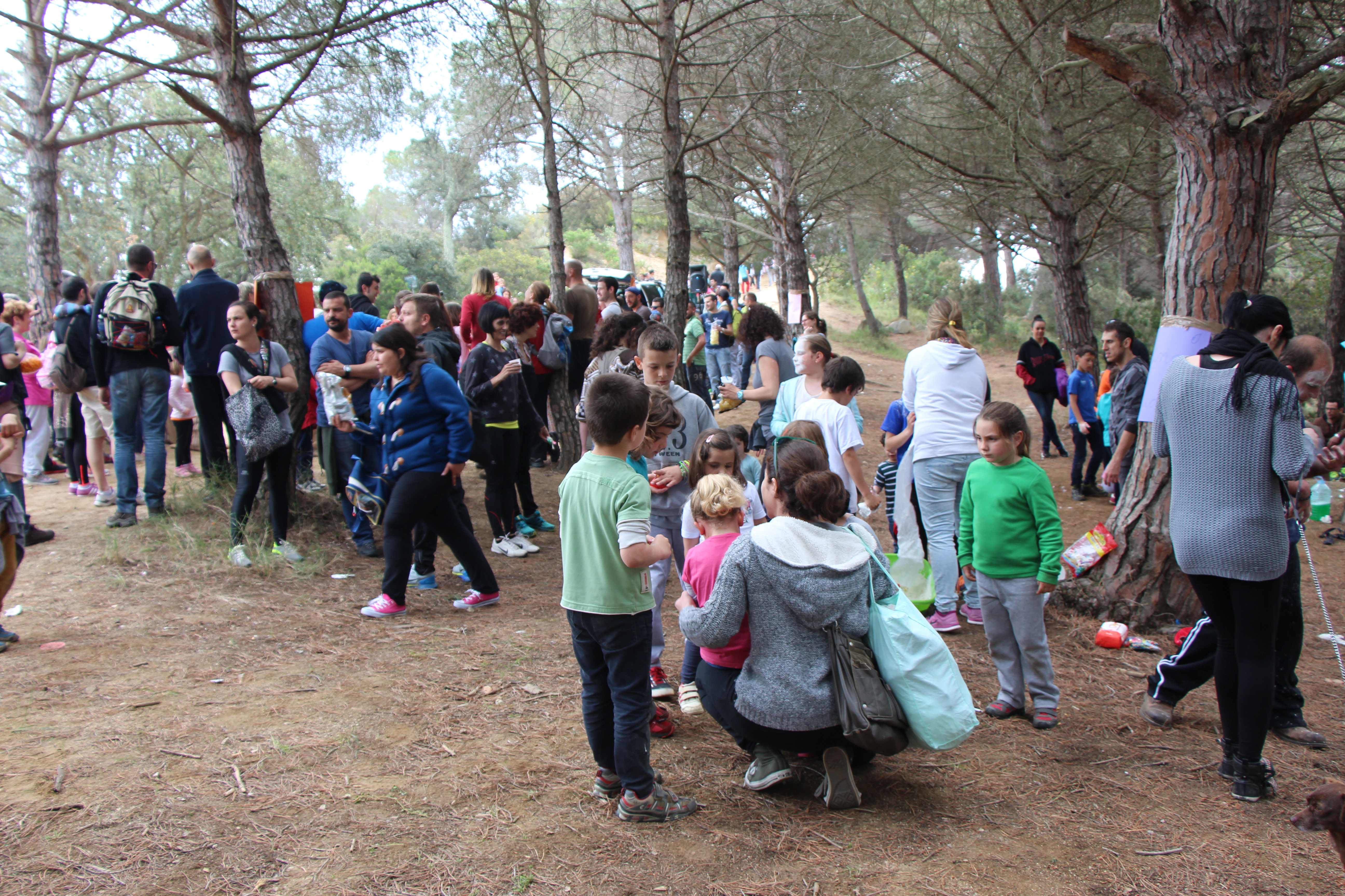 Aplec de Pedracastell - 2015 - Foto 69393405