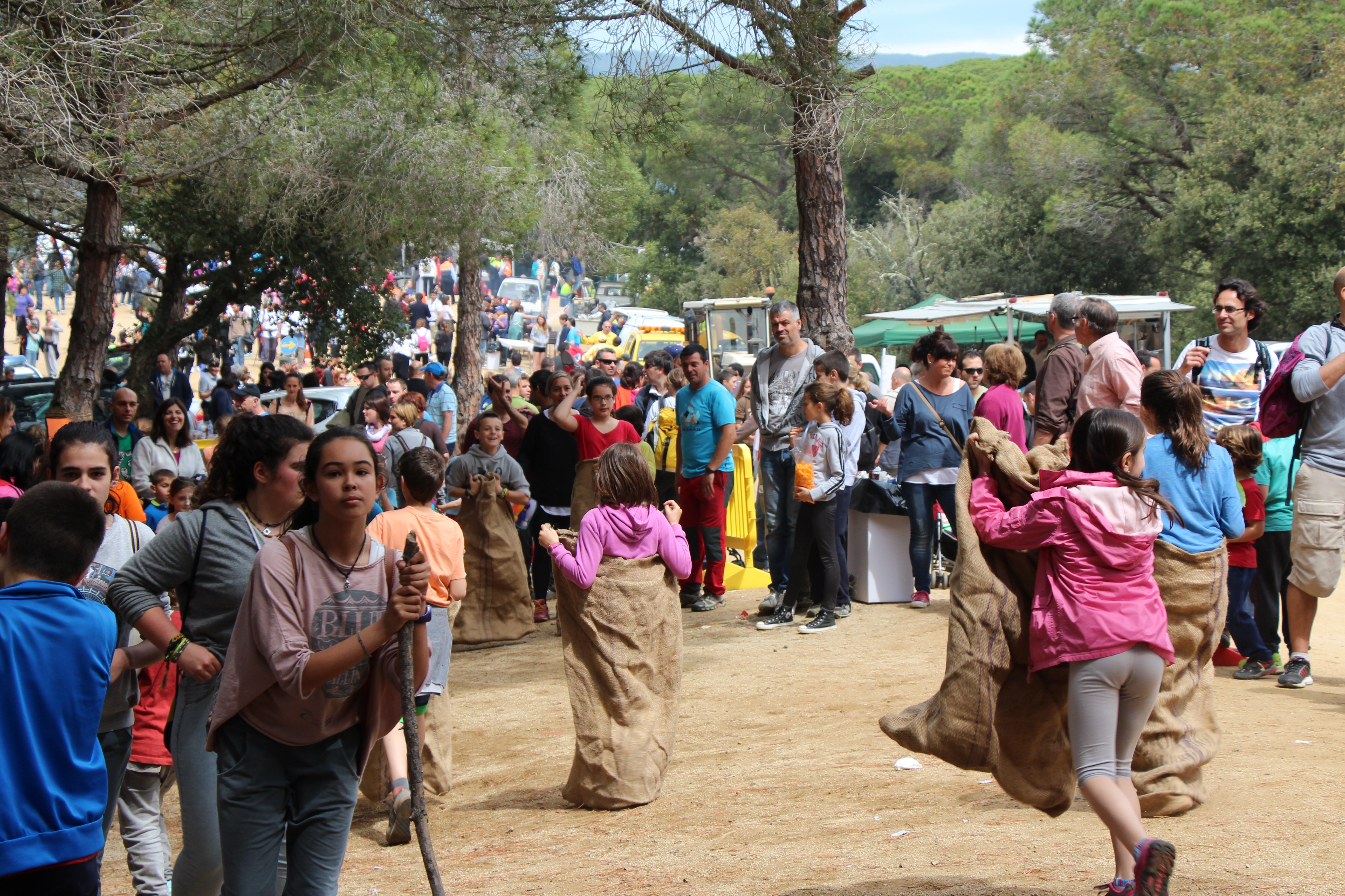 Aplec de Pedracastell - 2015 - Foto 59825588