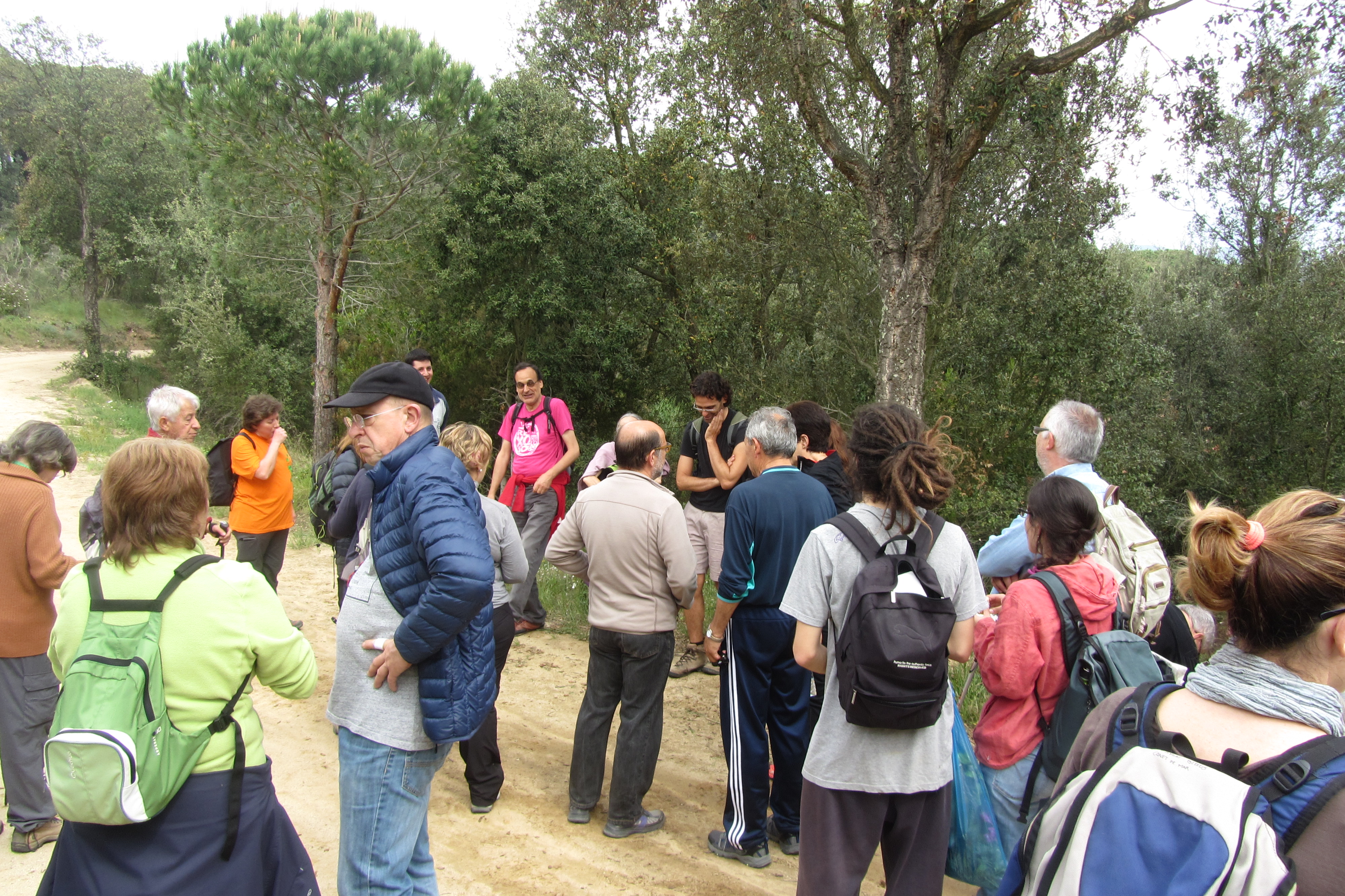 Aplec de Pedracastell - 2015 - Foto 12132570
