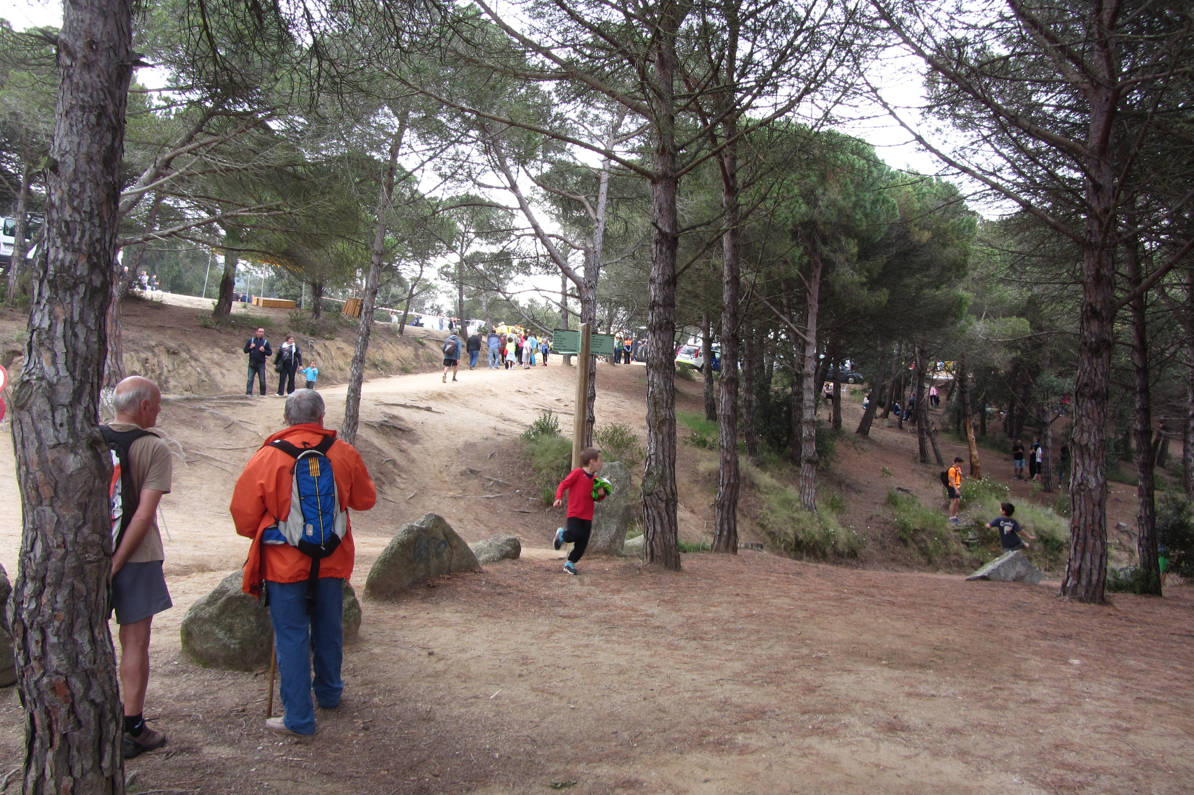 Aplec de Pedracastell - 2015 - Foto 84790679