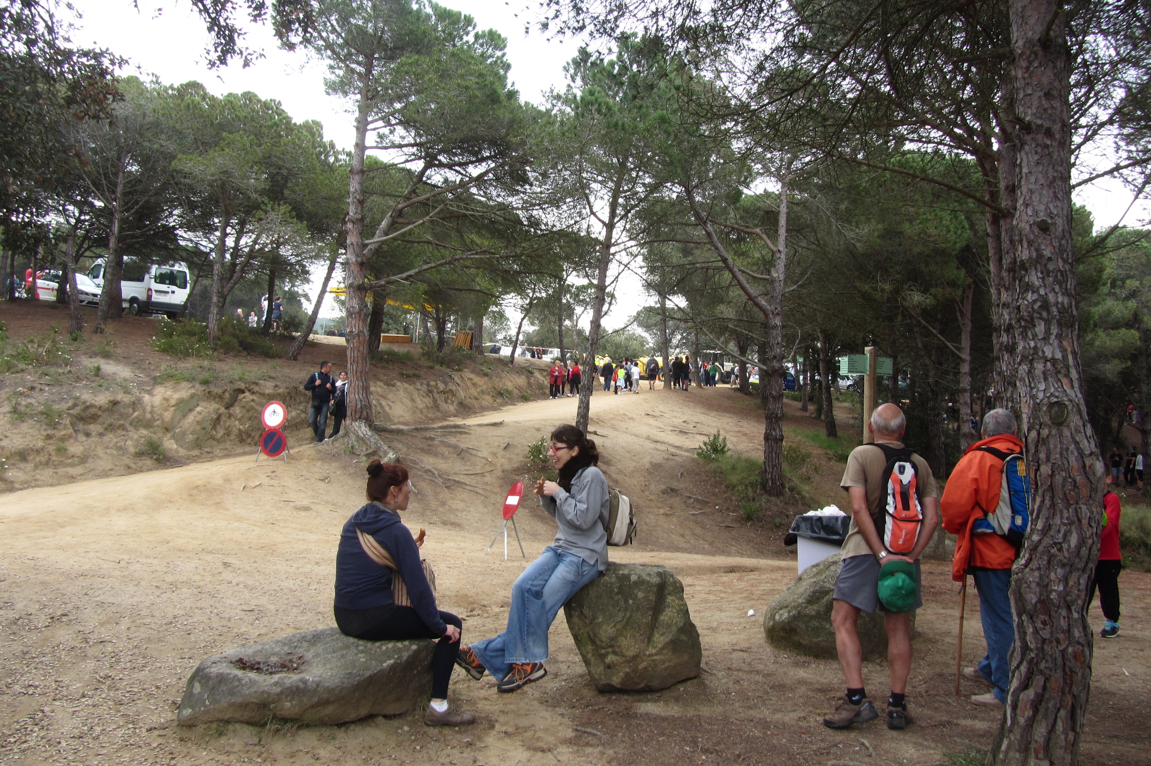 Aplec de Pedracastell - 2015 - Foto 28331057