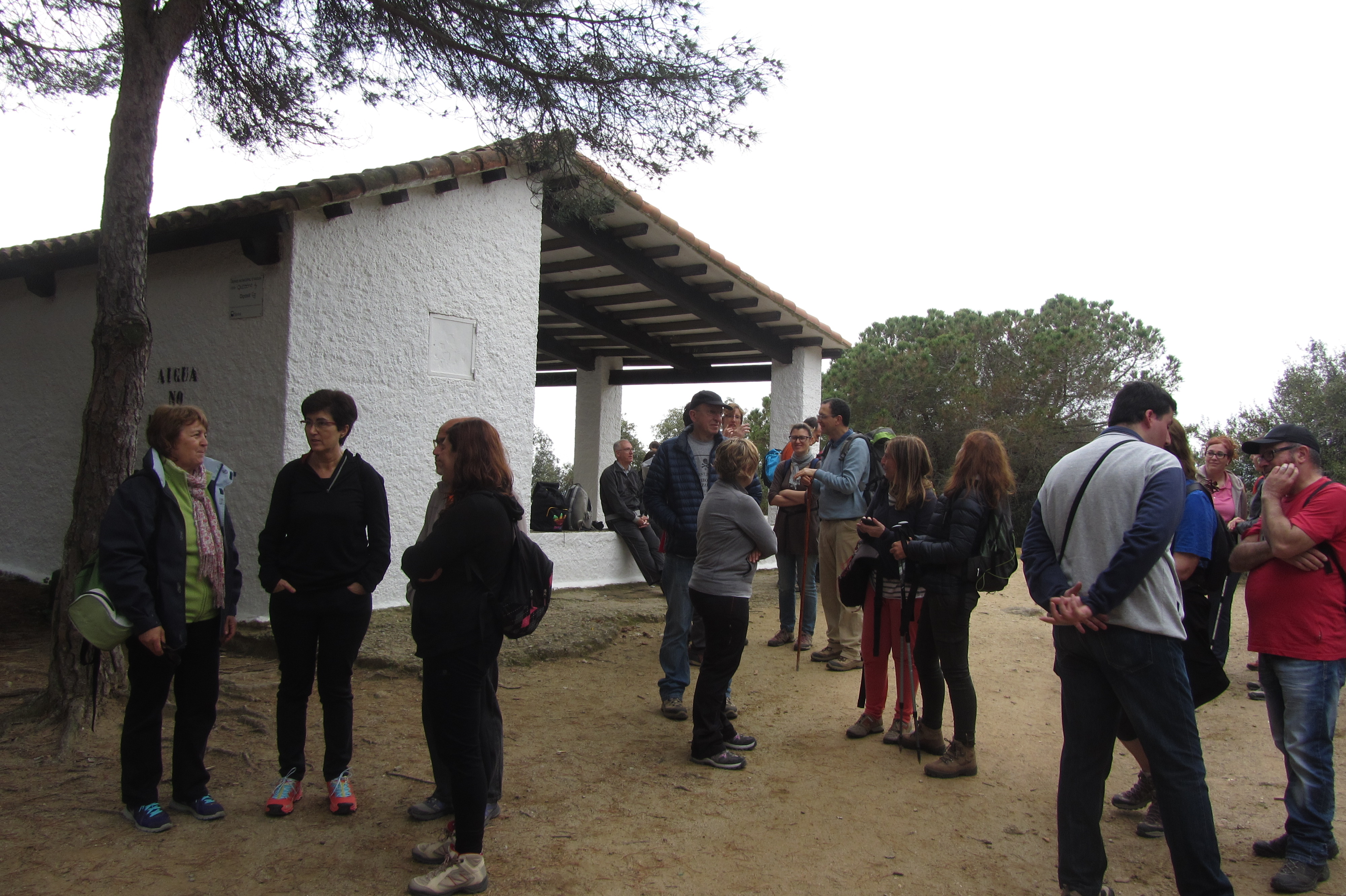 Aplec de Pedracastell - 2015 - Foto 48486853
