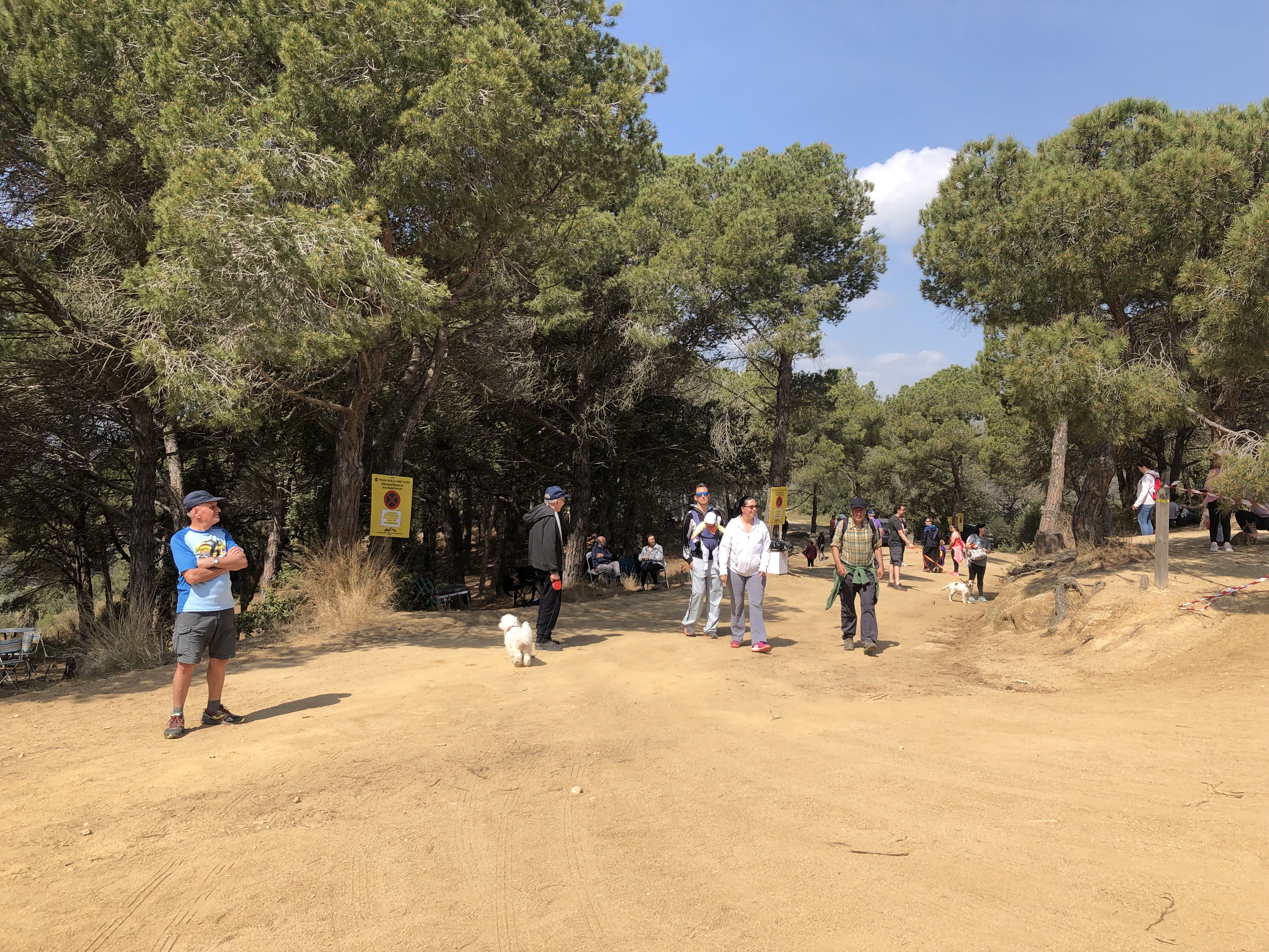 Aplec de Pedracastell - 2019 - Foto 29231789