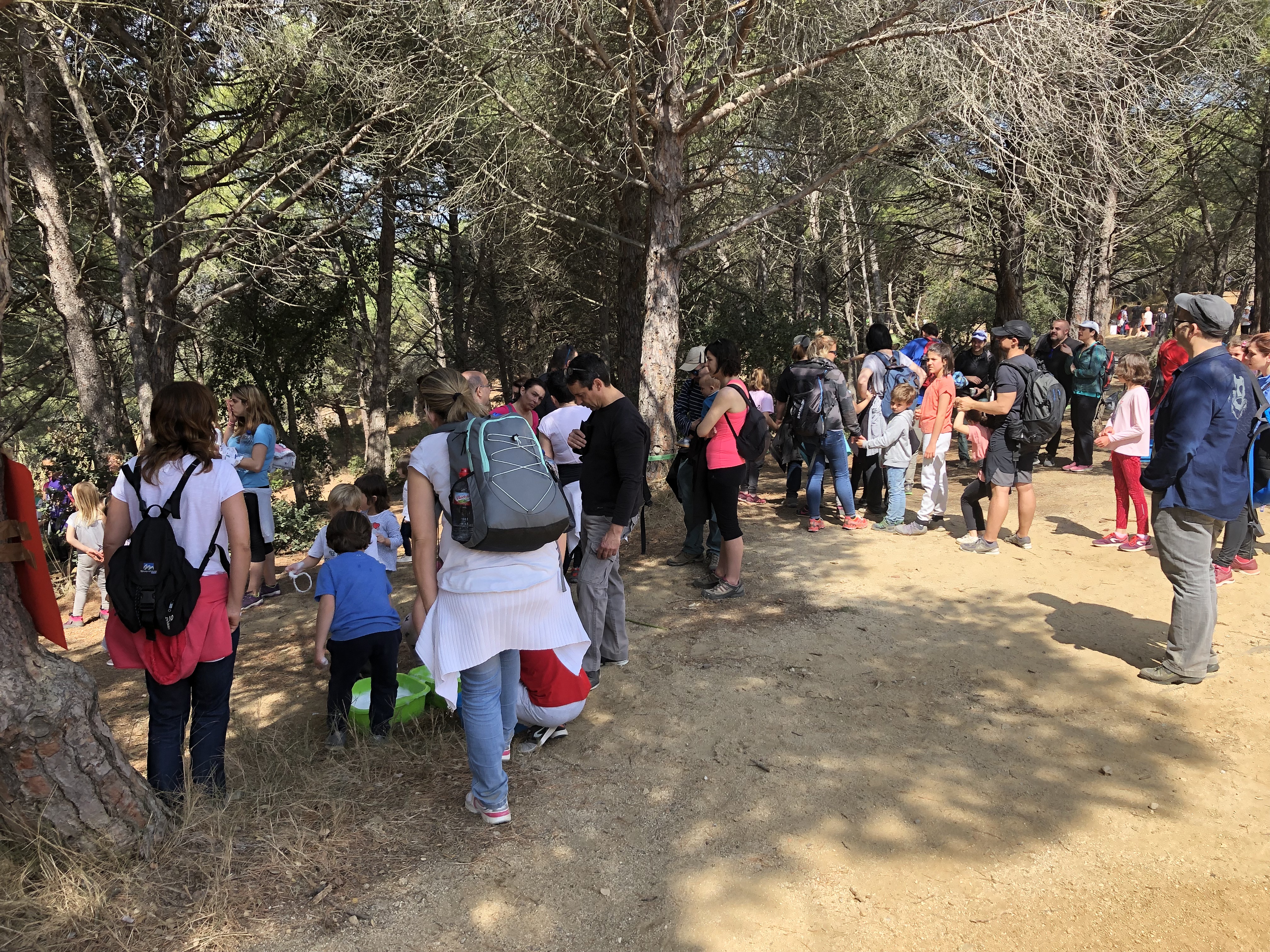 Aplec de Pedracastell - 2019 - Foto 31745684