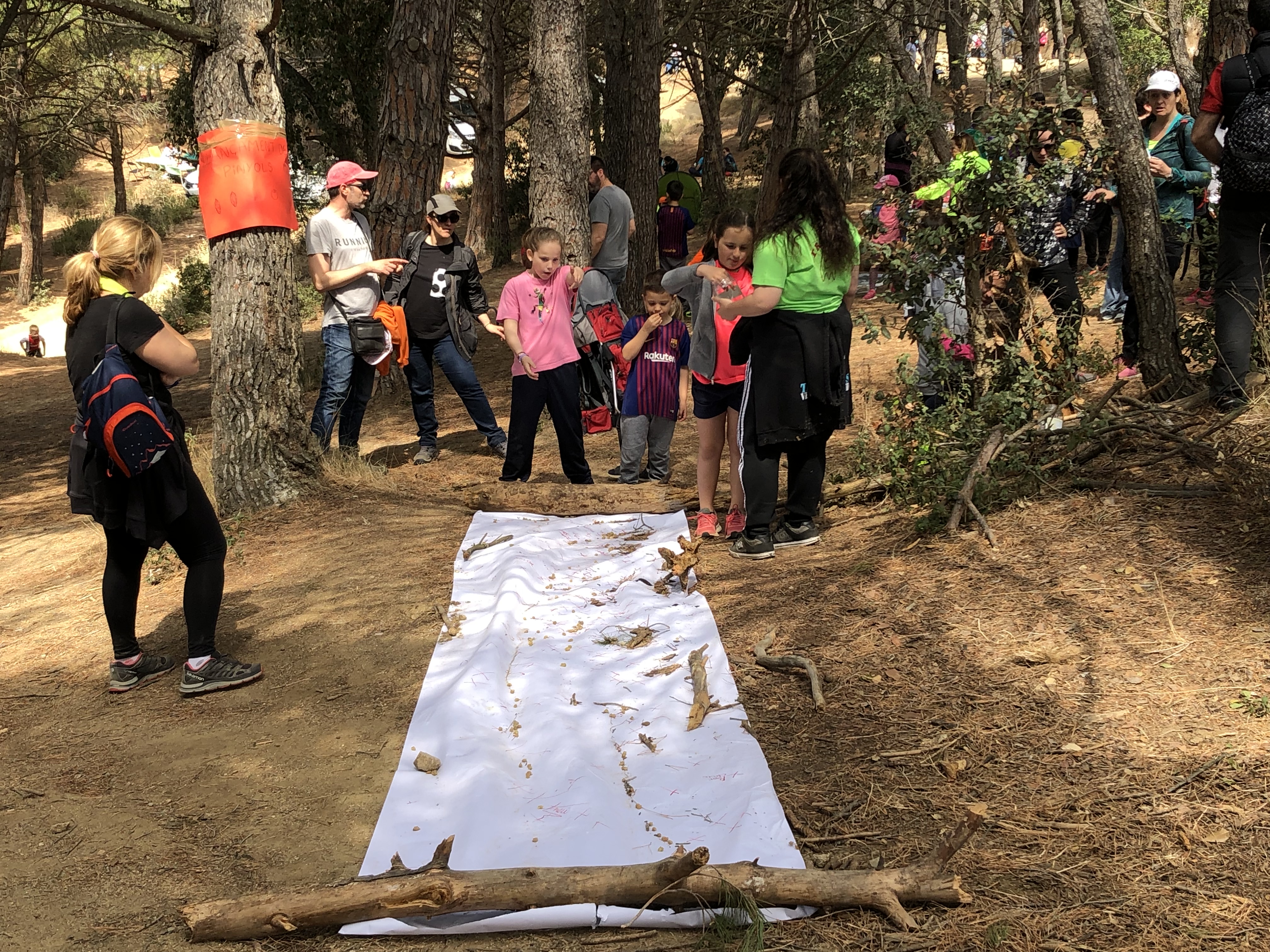 Aplec de Pedracastell - 2019 - Foto 86262133