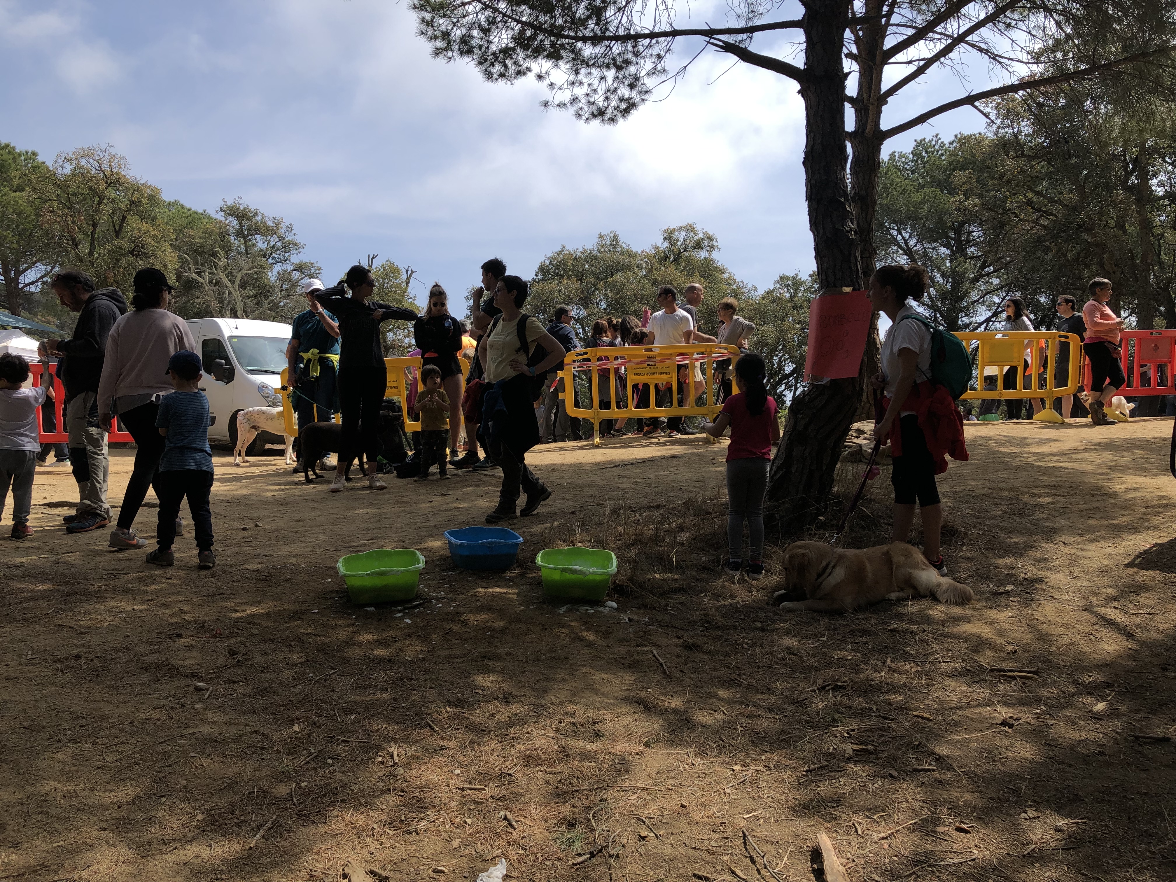 Aplec de Pedracastell - 2019 - Foto 39187153