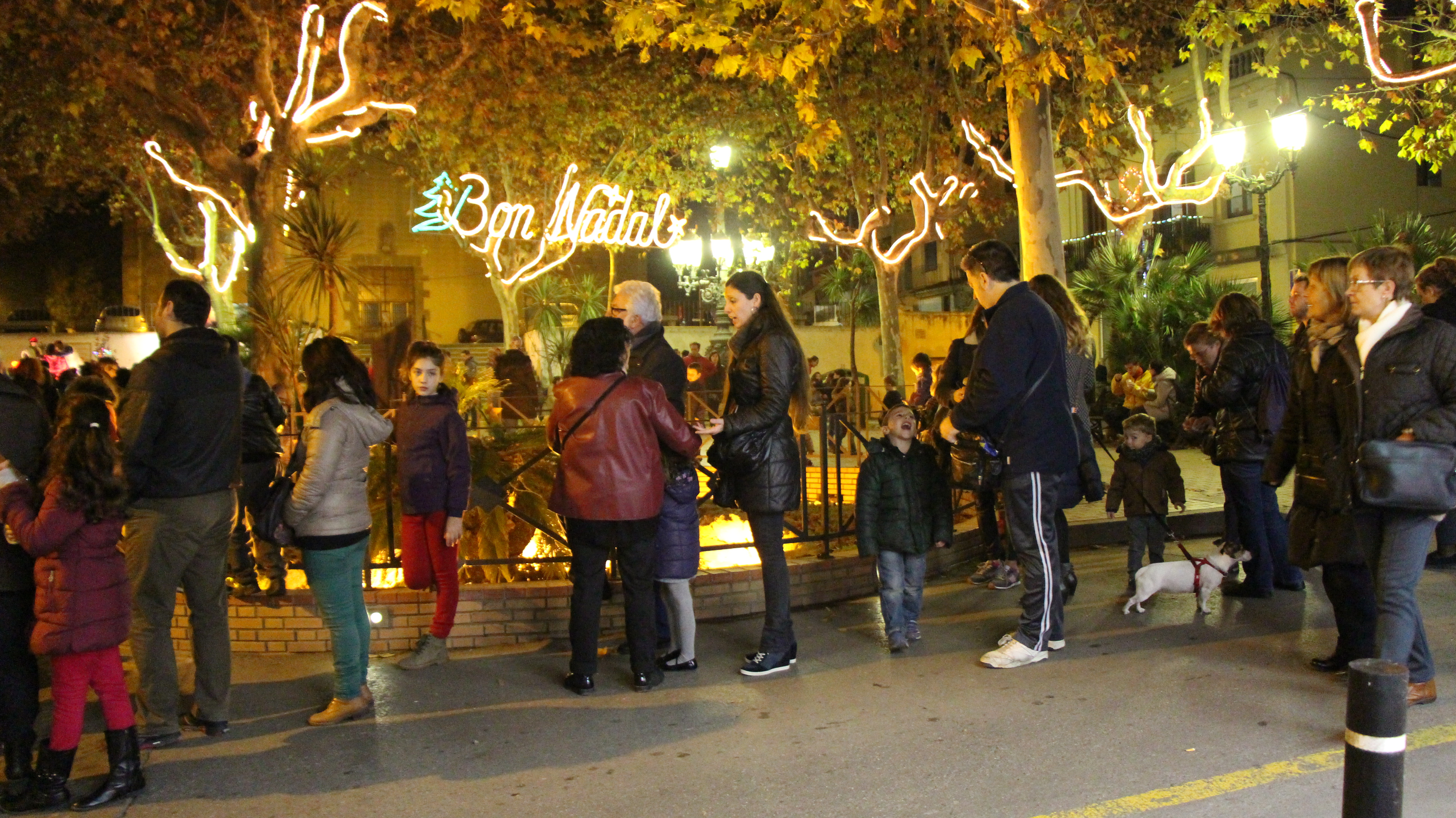 Festes Nadal 2015-2016 - Foto 27778124