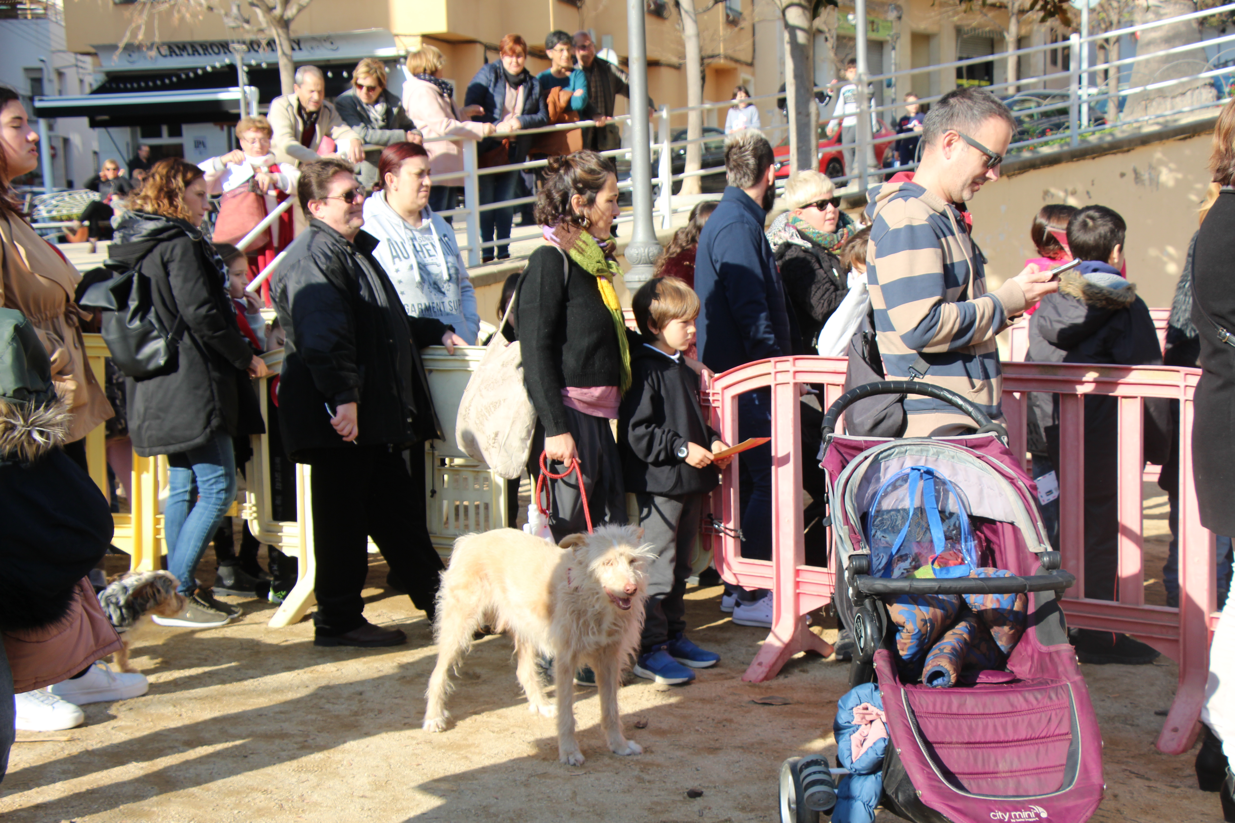 Festes Nadal 2019-2020 - Foto 51018158