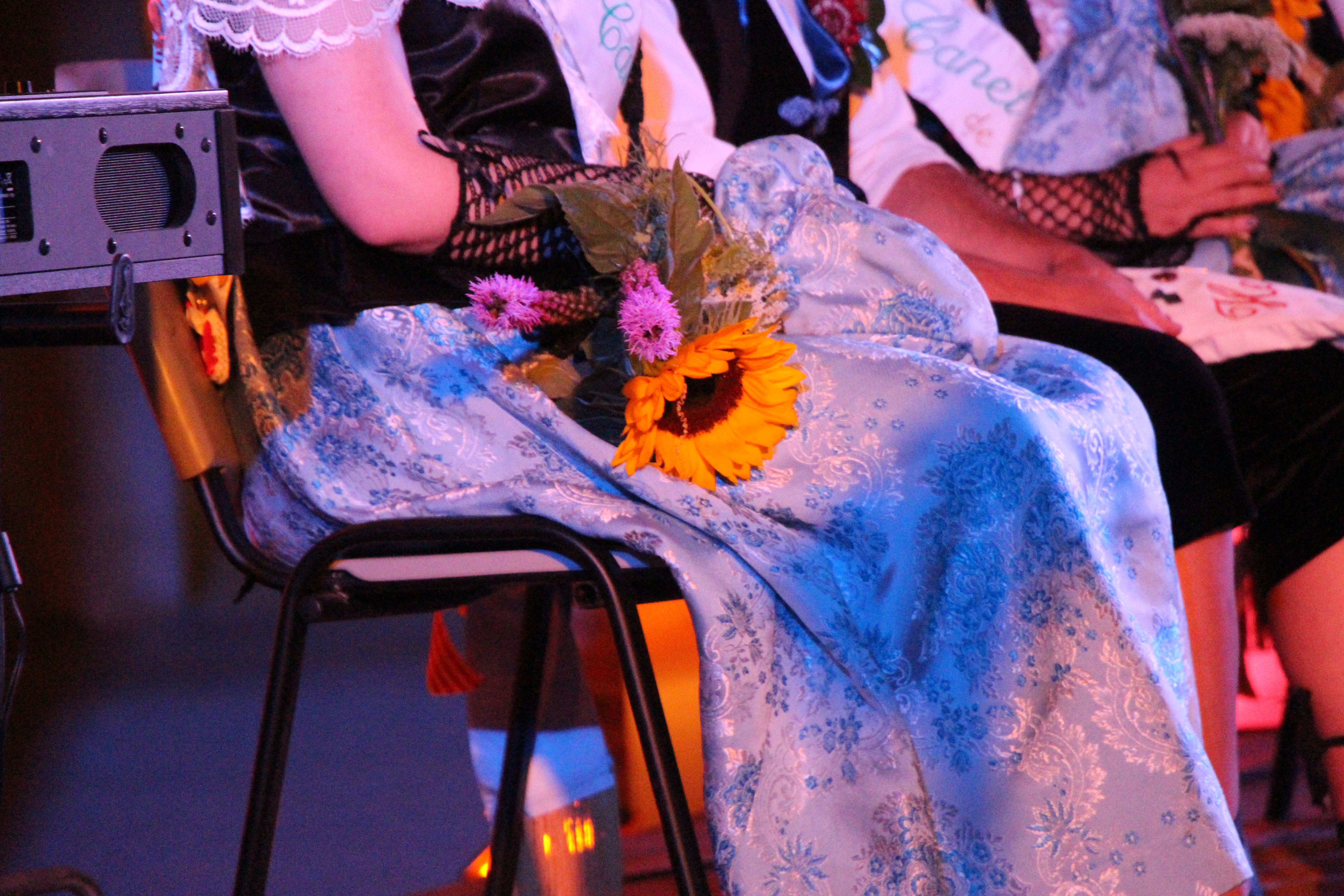 Pubilles i hereus 2016 - Foto 29873601