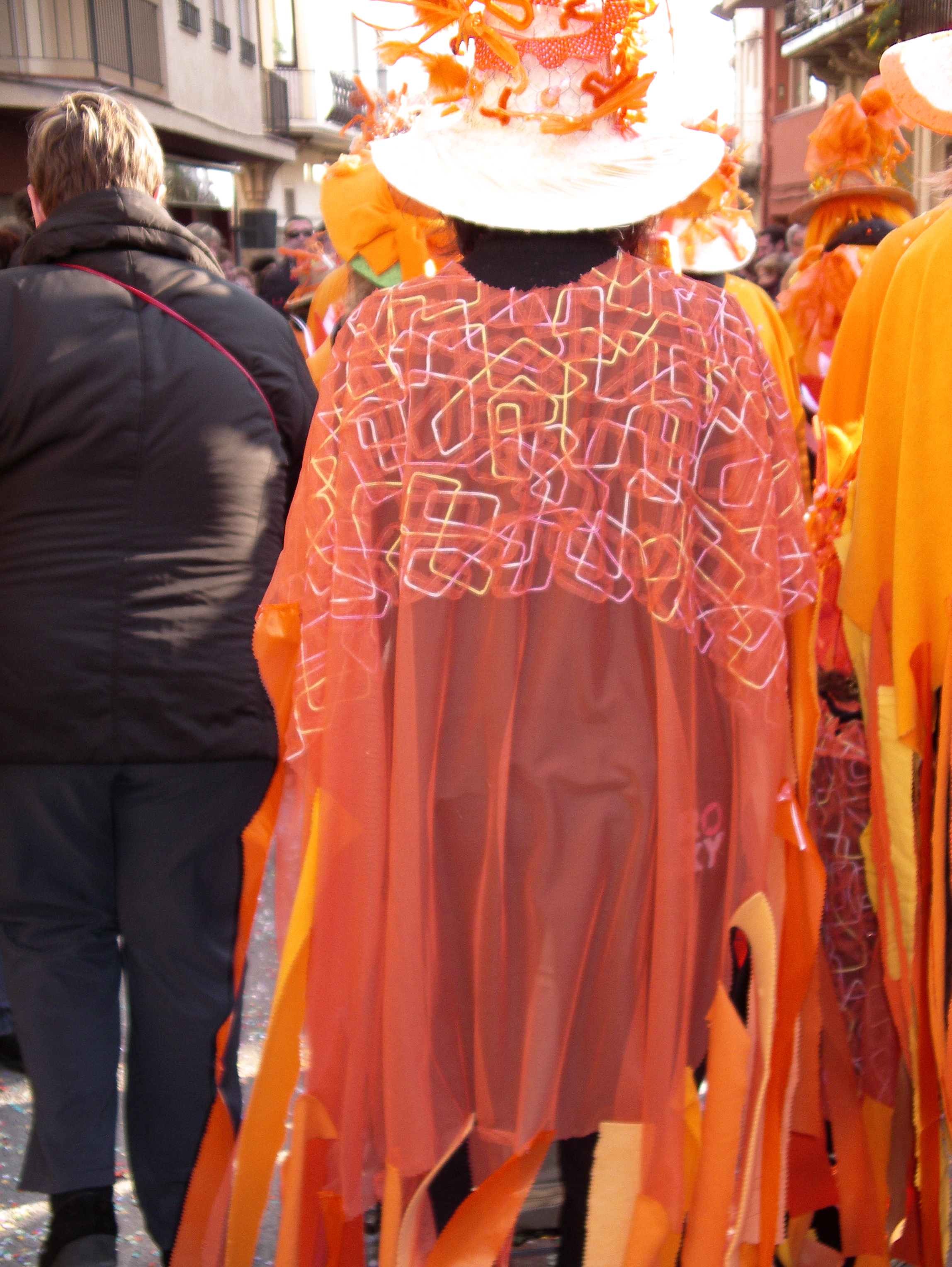 Carnaval 2010 - Foto 61966407