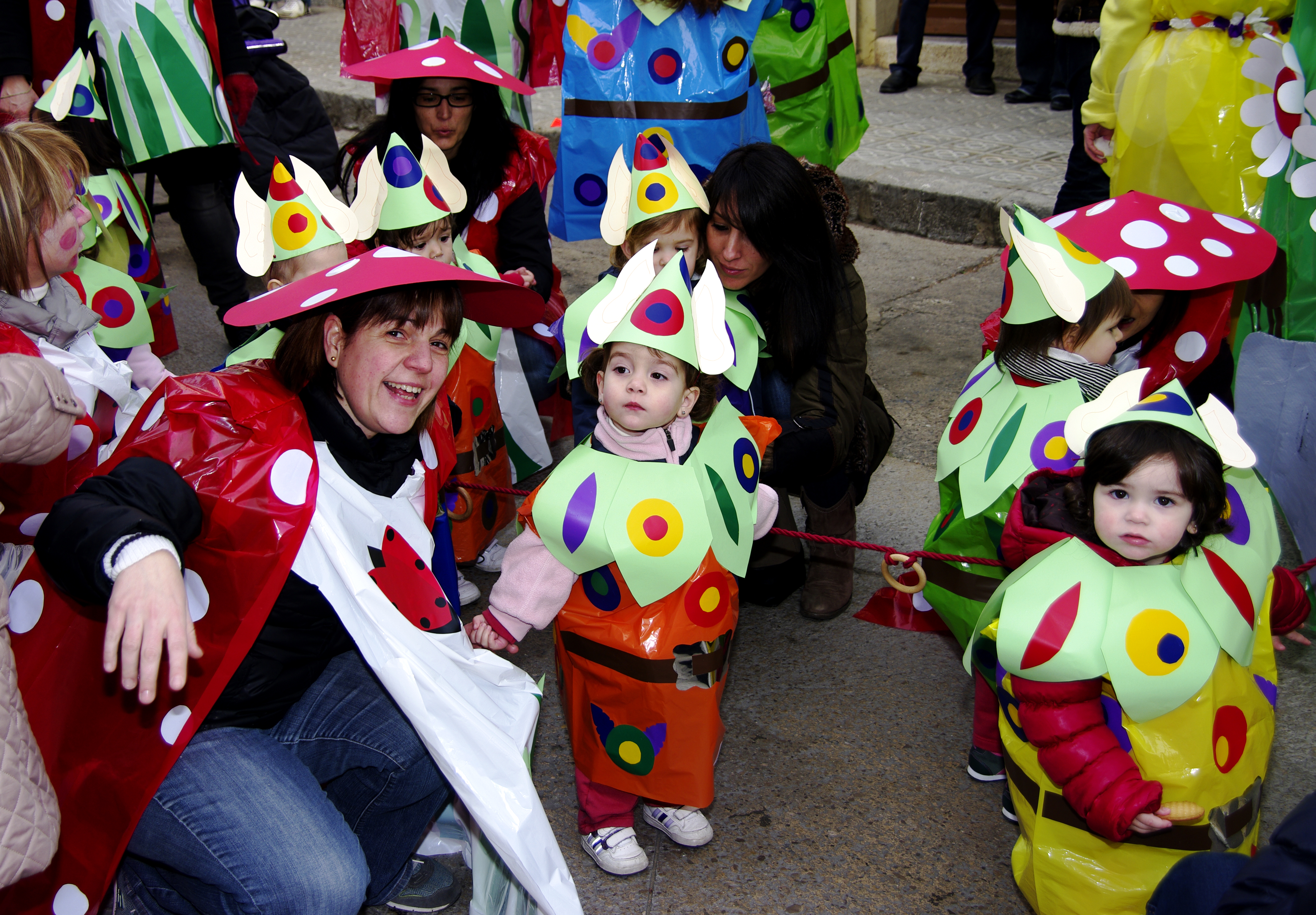 Carnaval 2013 - Foto 71563432