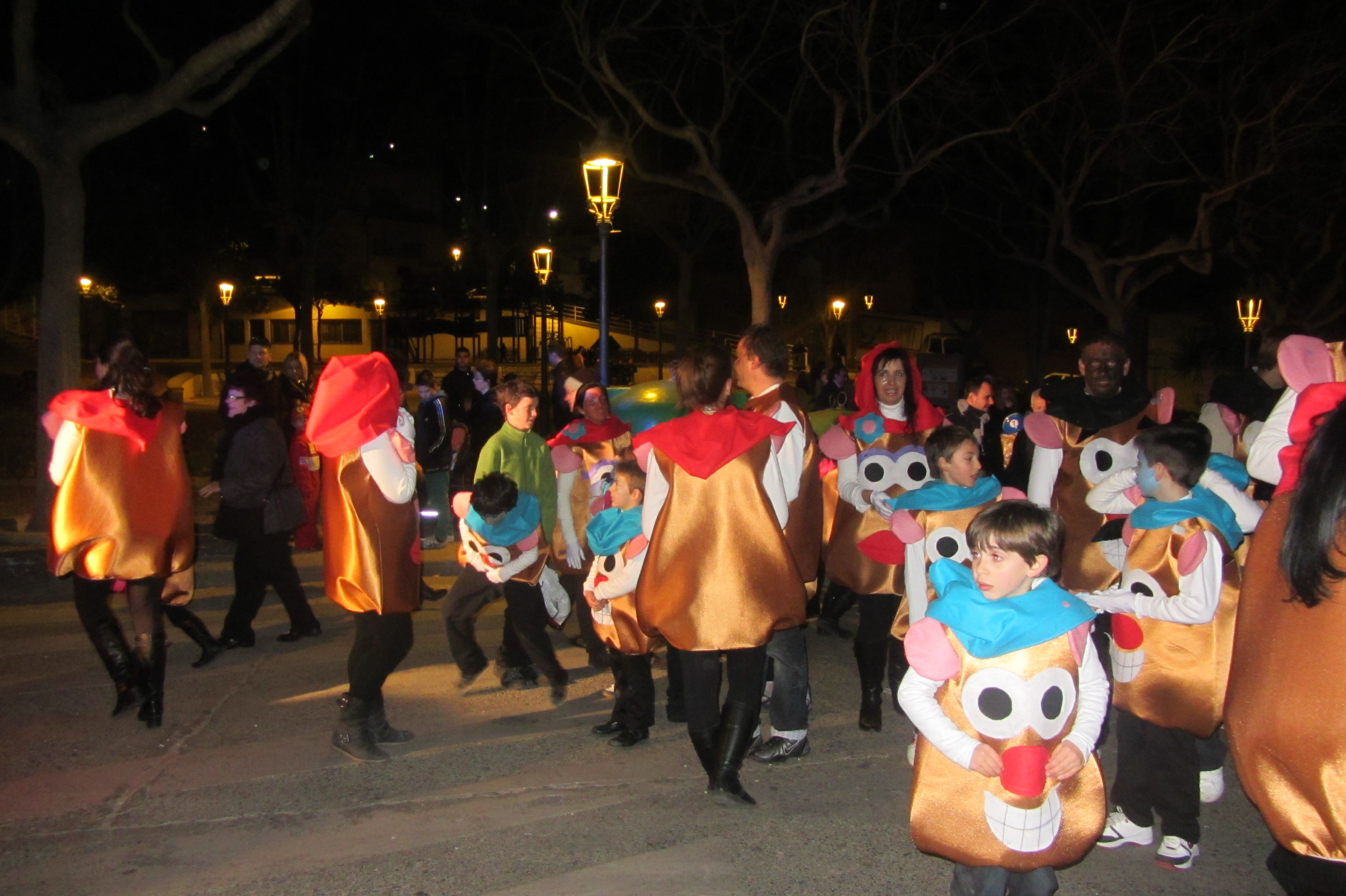 Carnaval 2013 - Foto 35473436