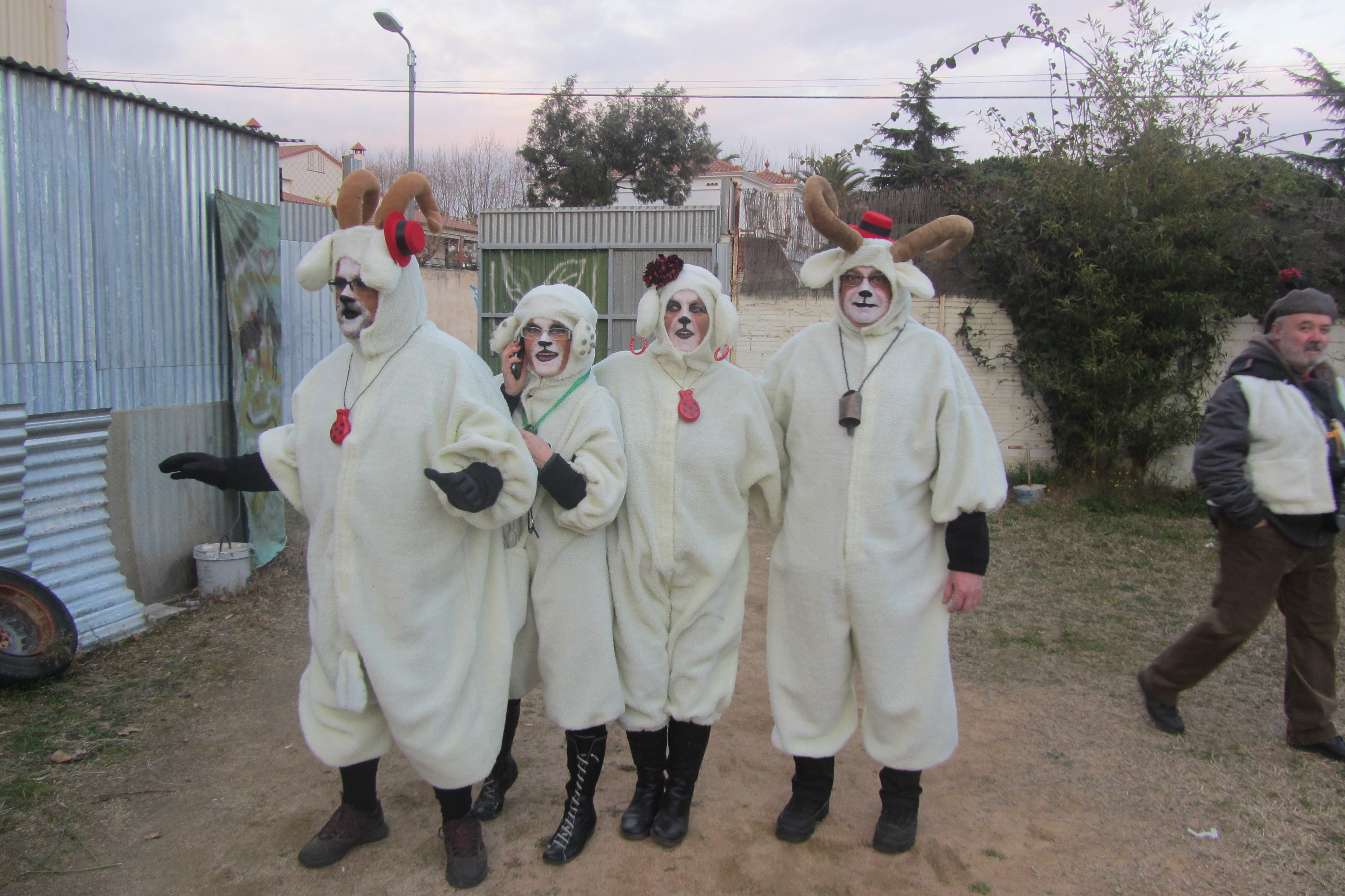 Carnaval 2013 - Foto 30779846