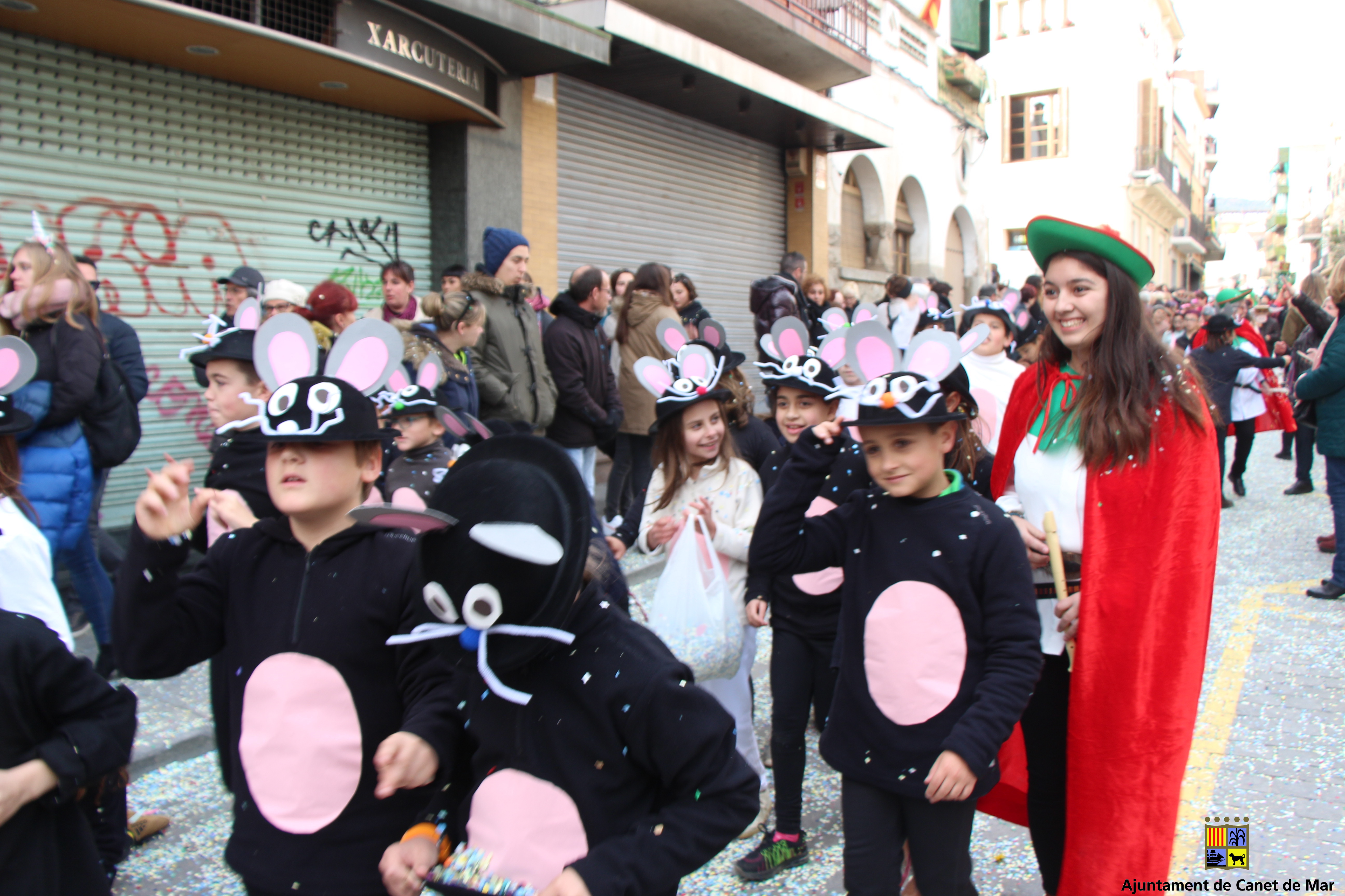 Carnaval 2018 - Foto 26393279