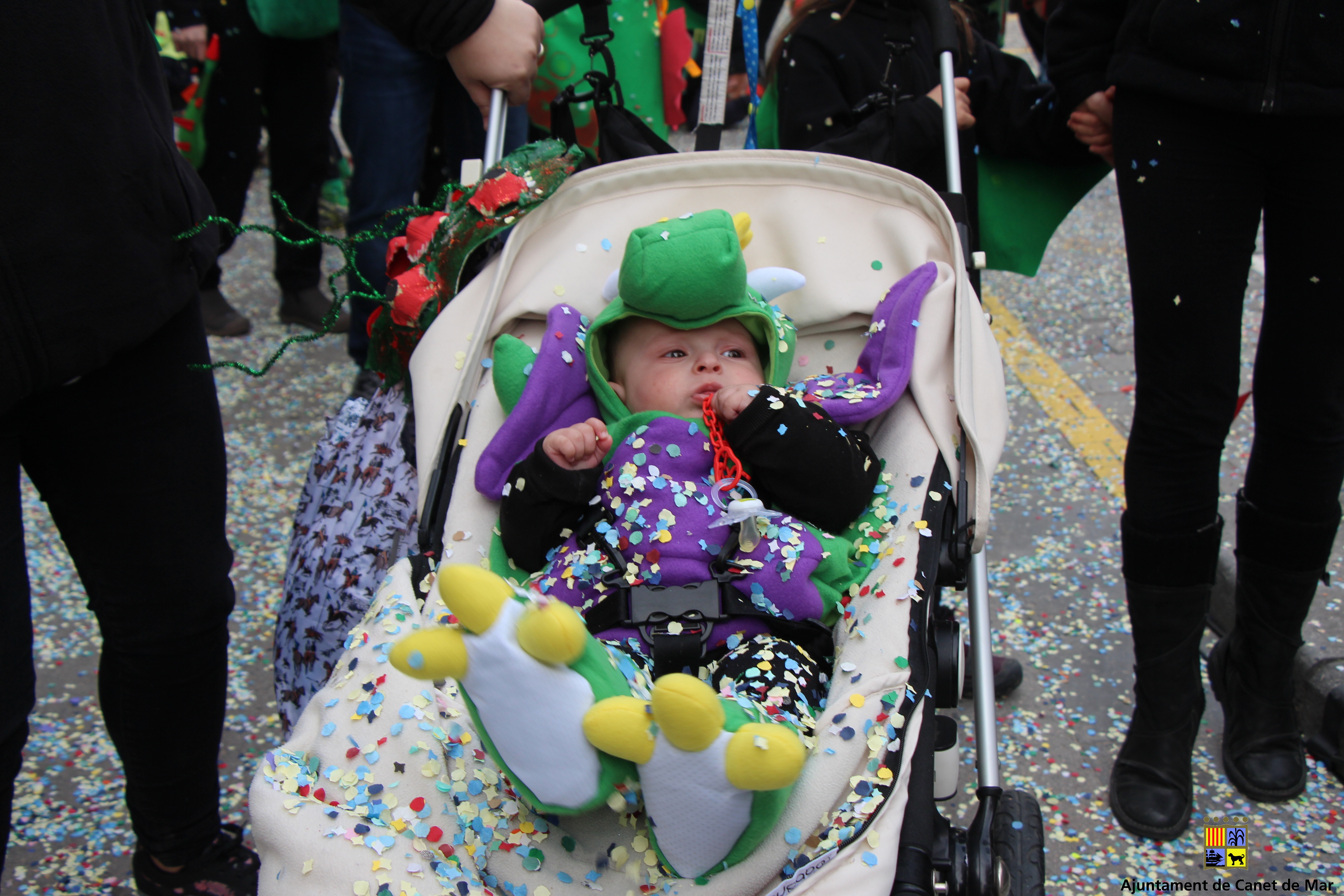 Carnaval 2018 - Foto 69714387