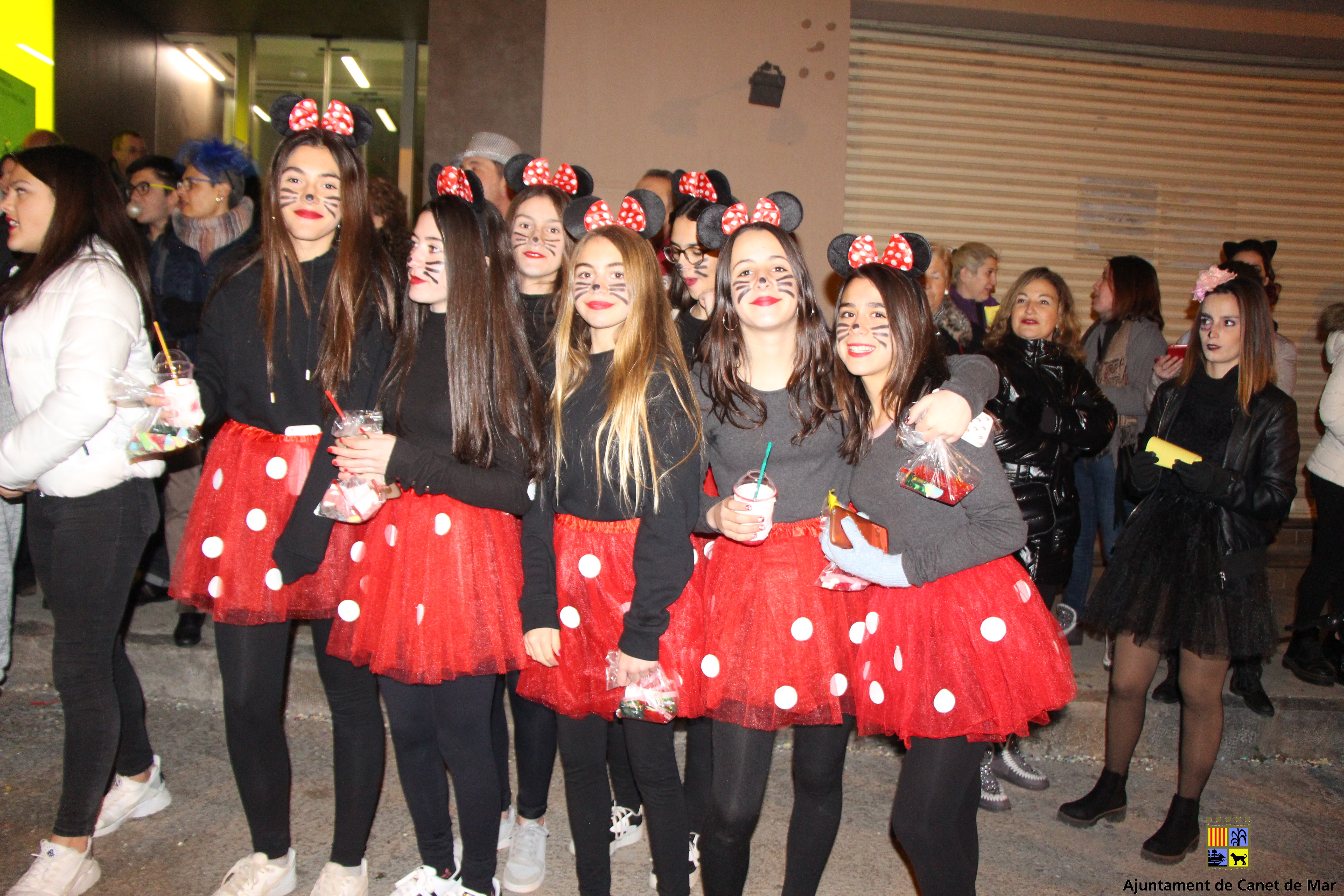 Carnaval 2018 - Foto 95894898