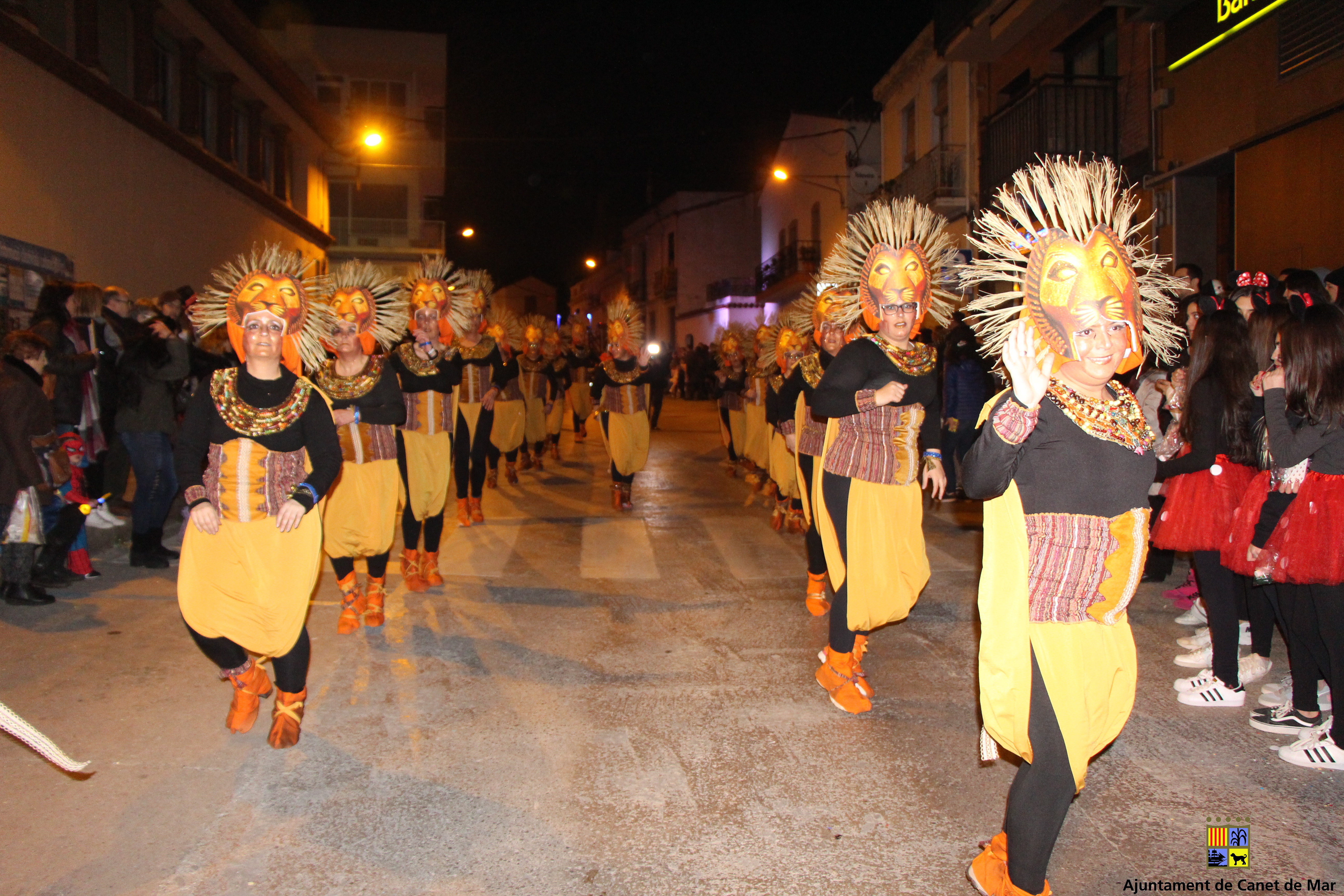 Carnaval 2018 - Foto 95194006