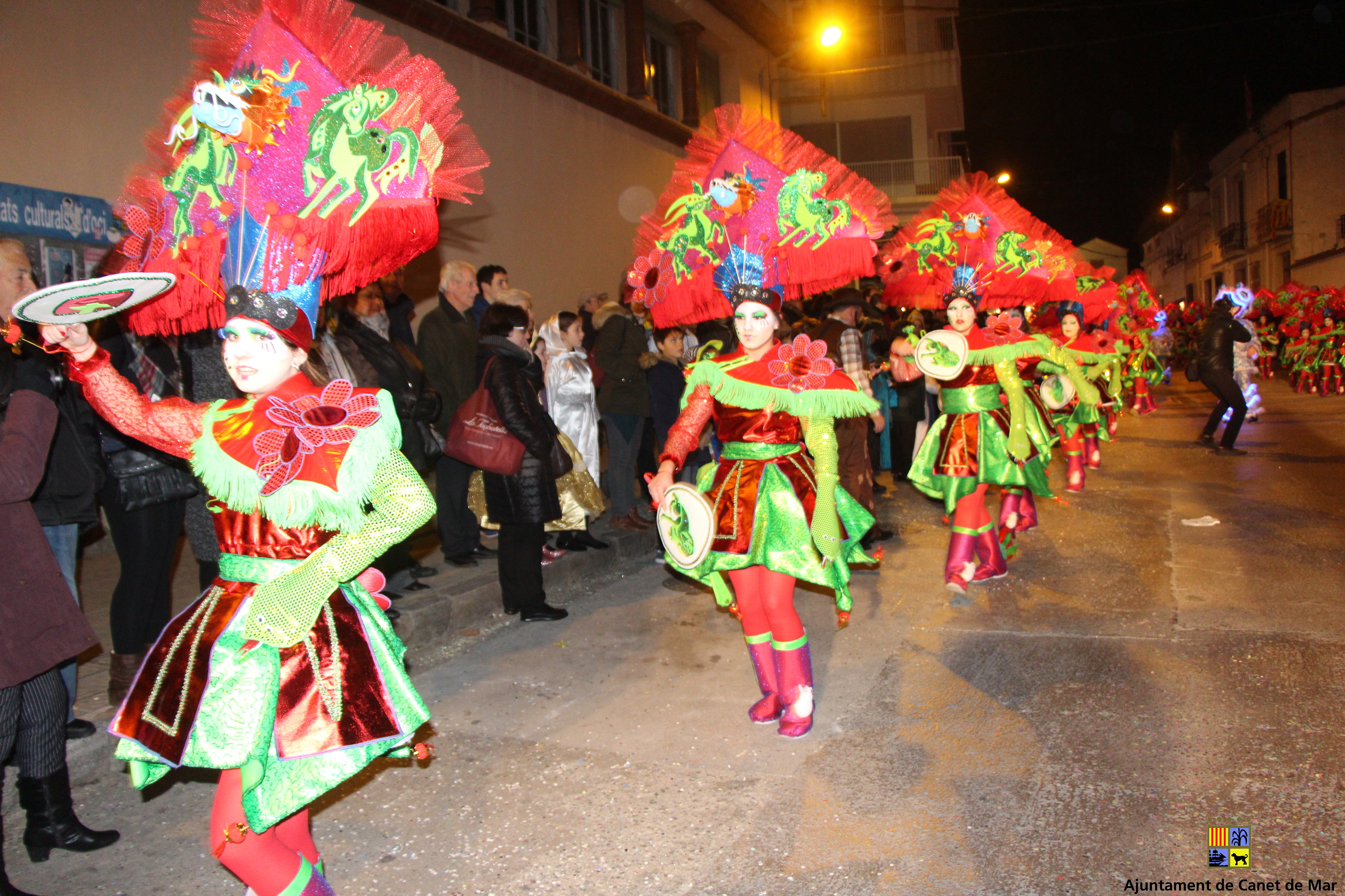 Carnaval 2018 - Foto 72156476