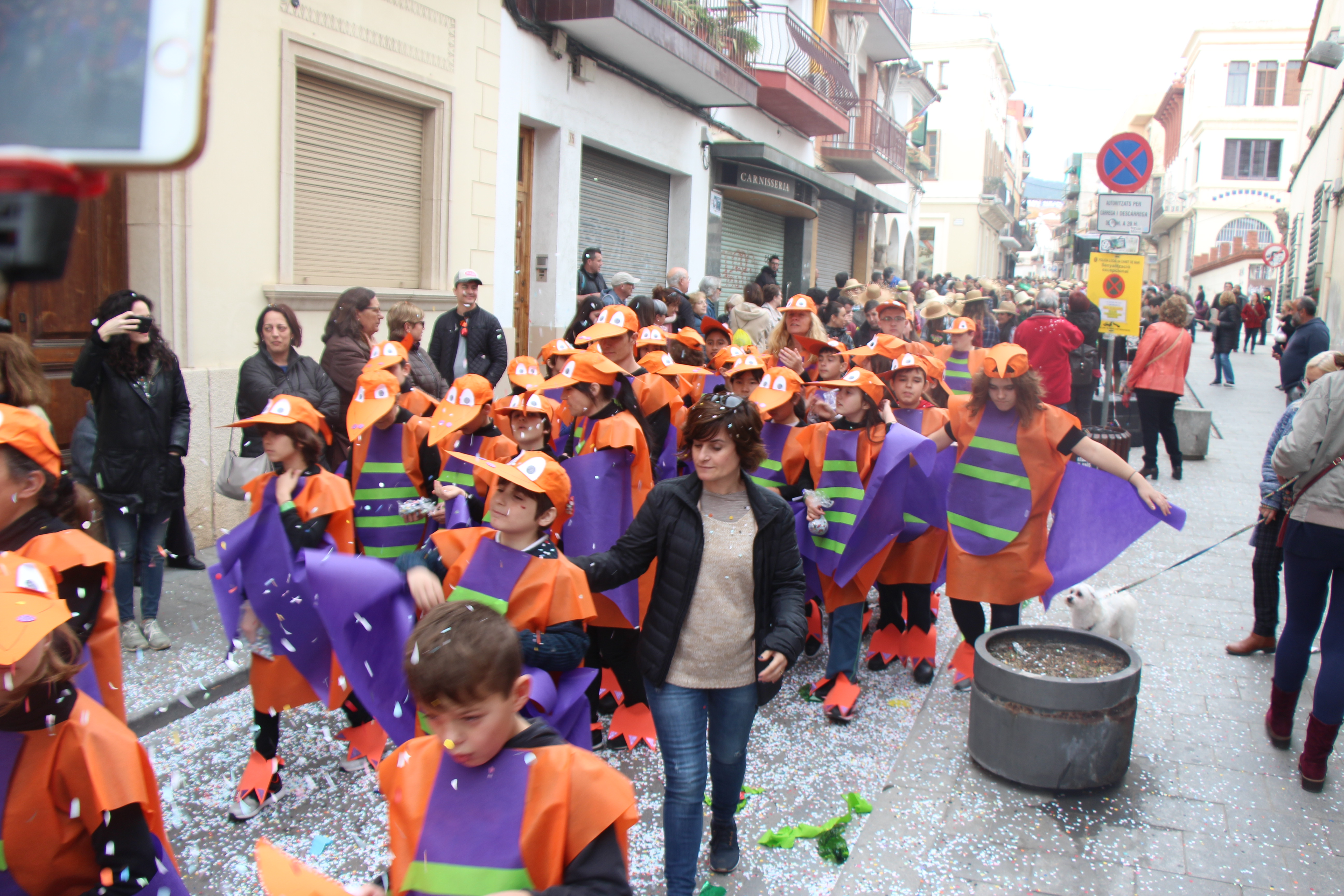 Carnaval 2019 - Foto 86908396