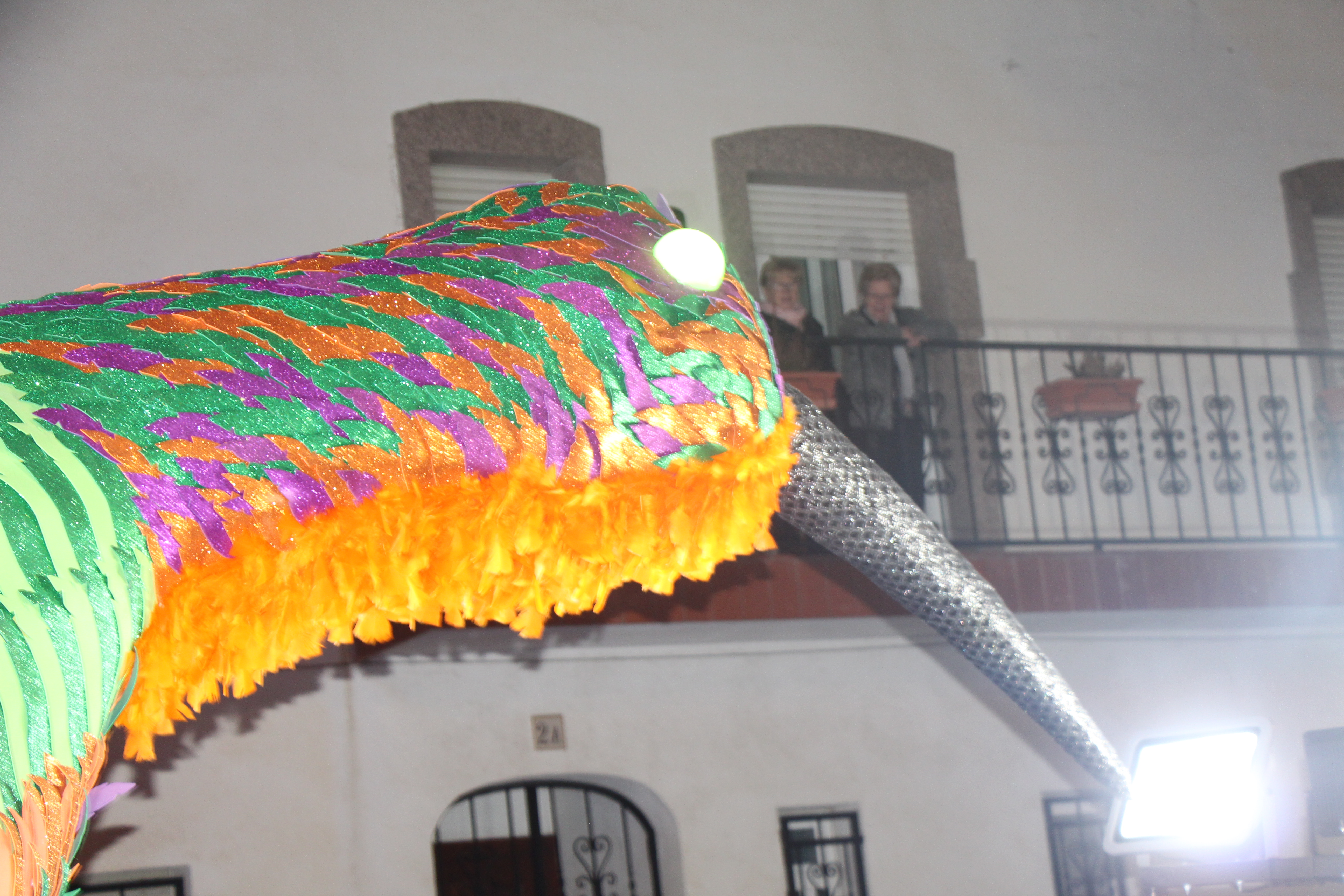 Carnaval 2020 - Foto 44029244