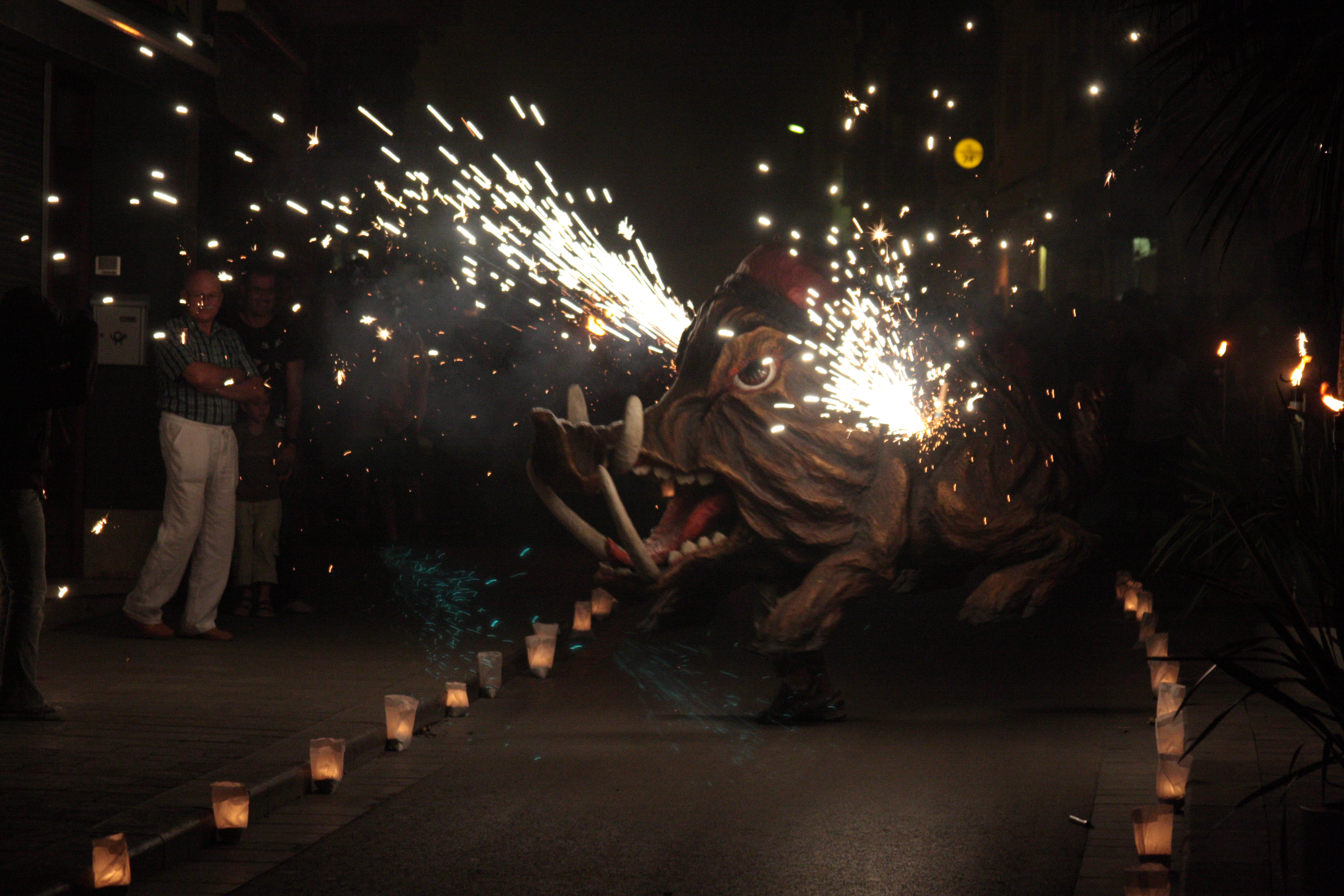 Festa Major 2009 - Foto 11405569