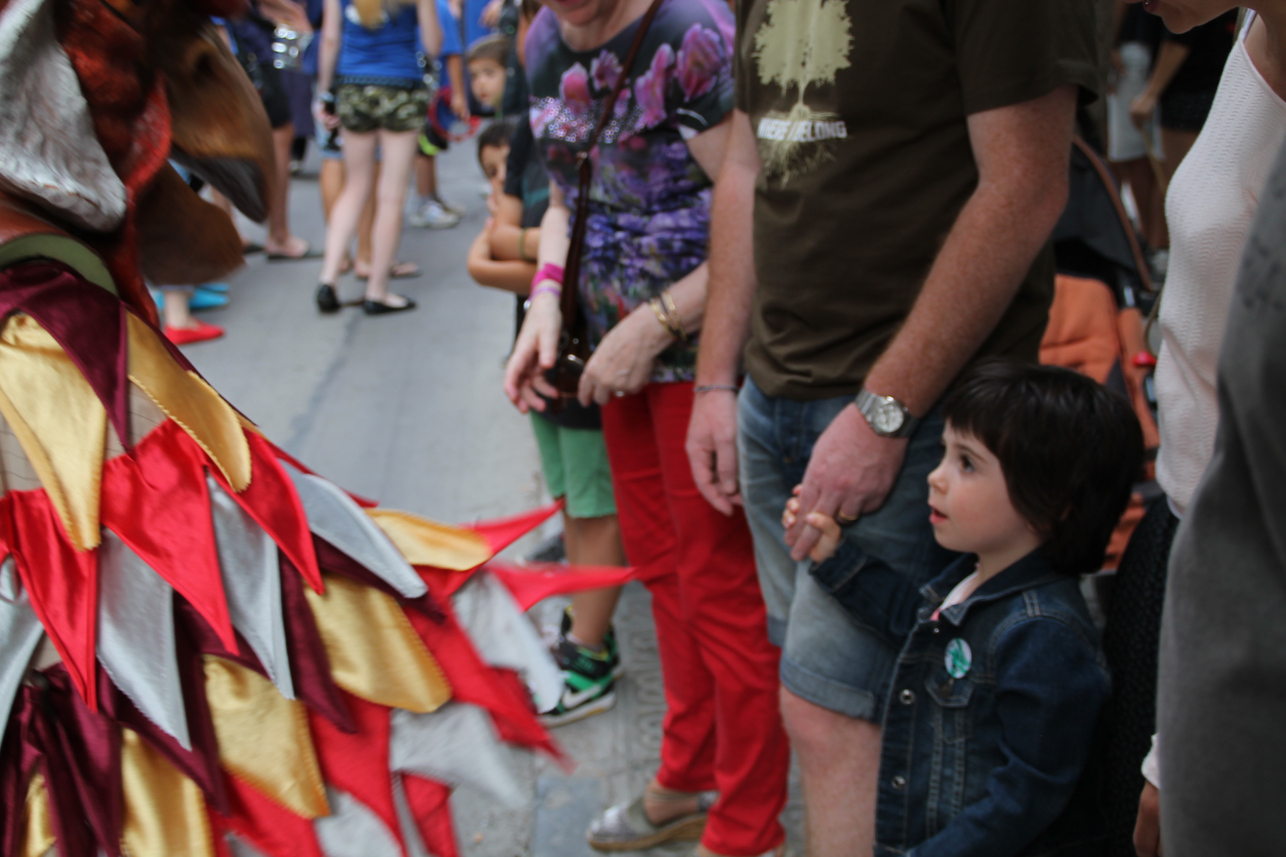 Festa Major 2014 - Foto 97221774