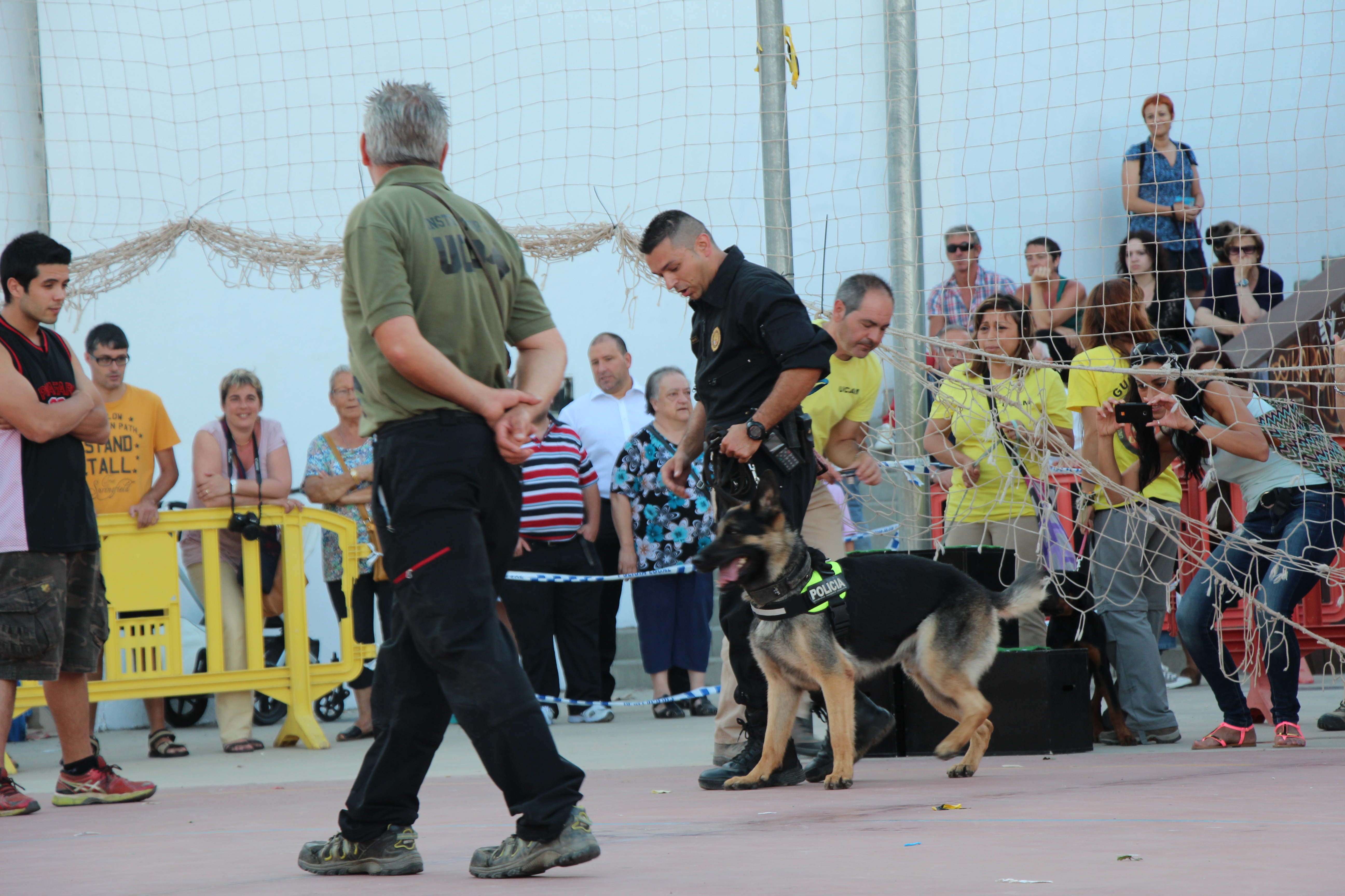 Festa Major 2014 - Foto 81827061