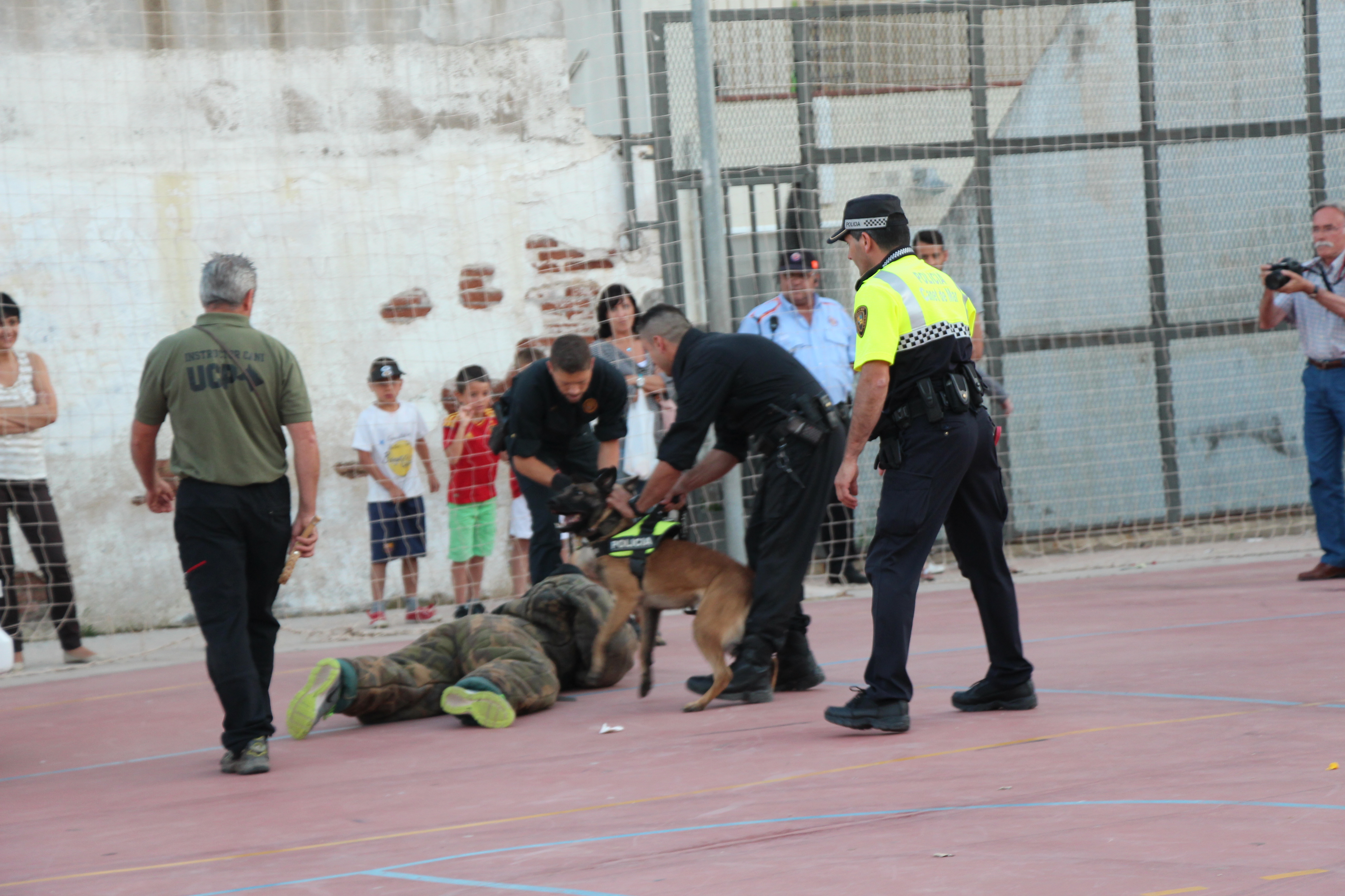 Festa Major 2014 - Foto 11144968