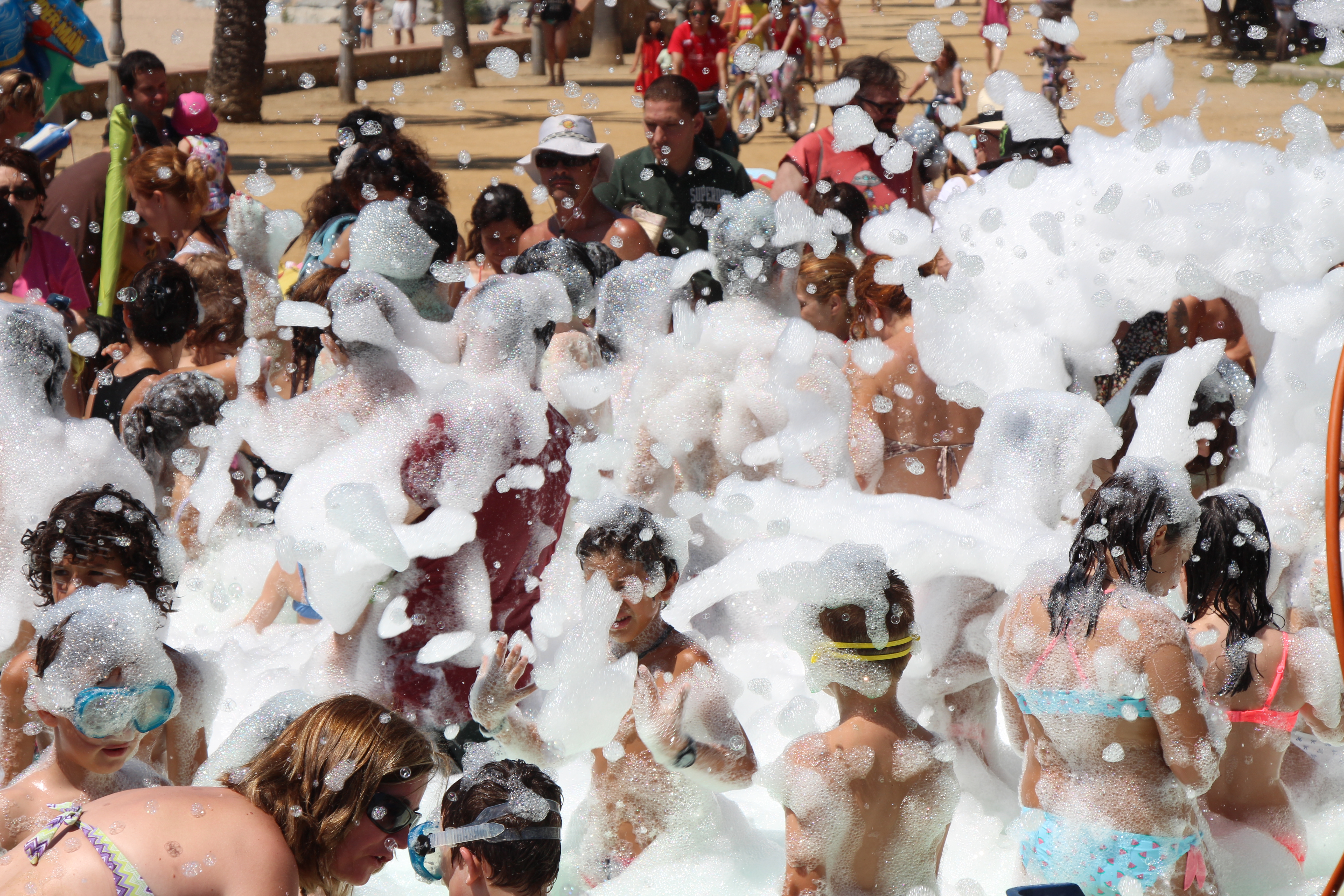 Festa Major 2015 - Foto 81001705