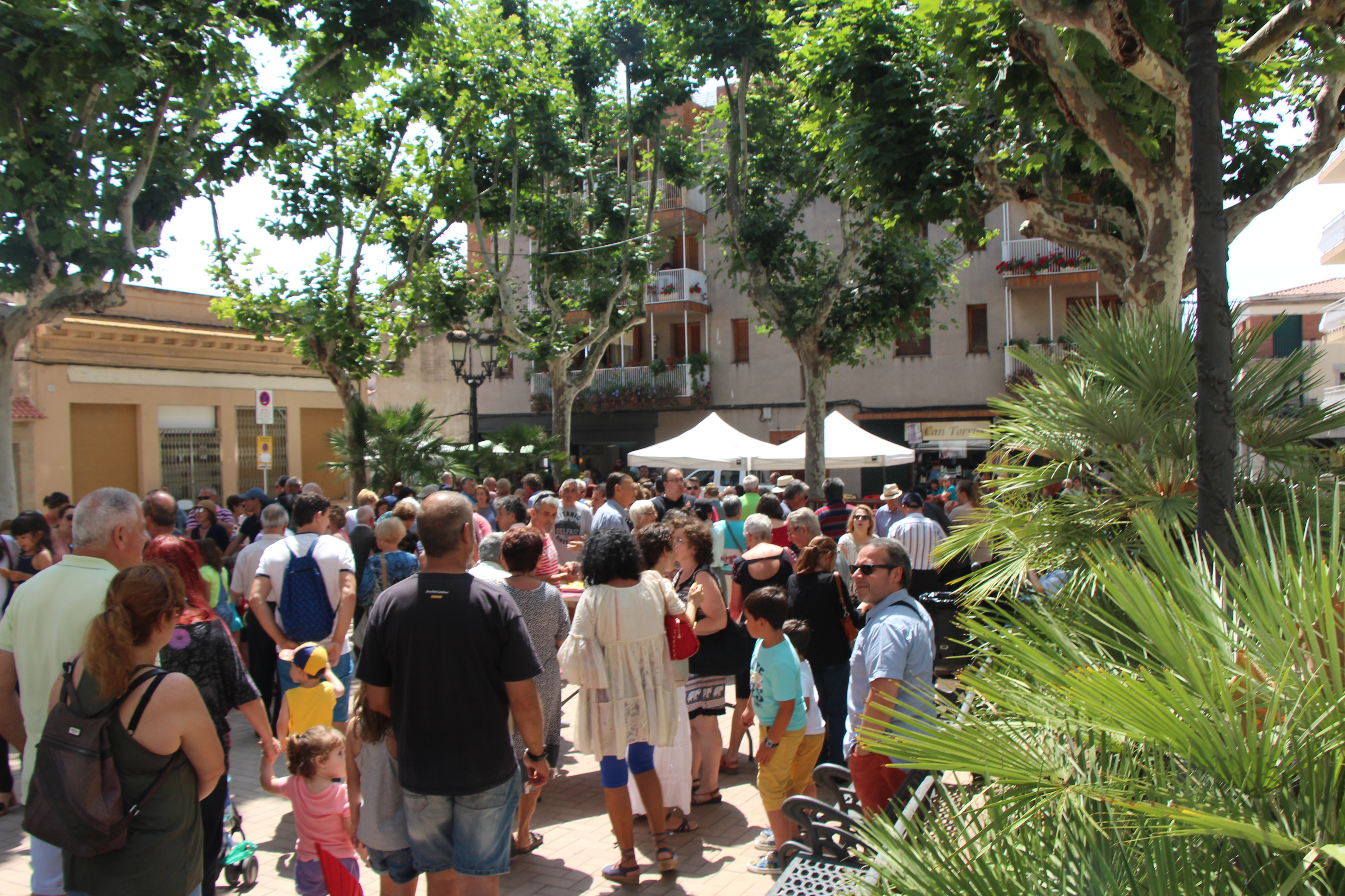 Festa Major 2018 - Foto 55695882